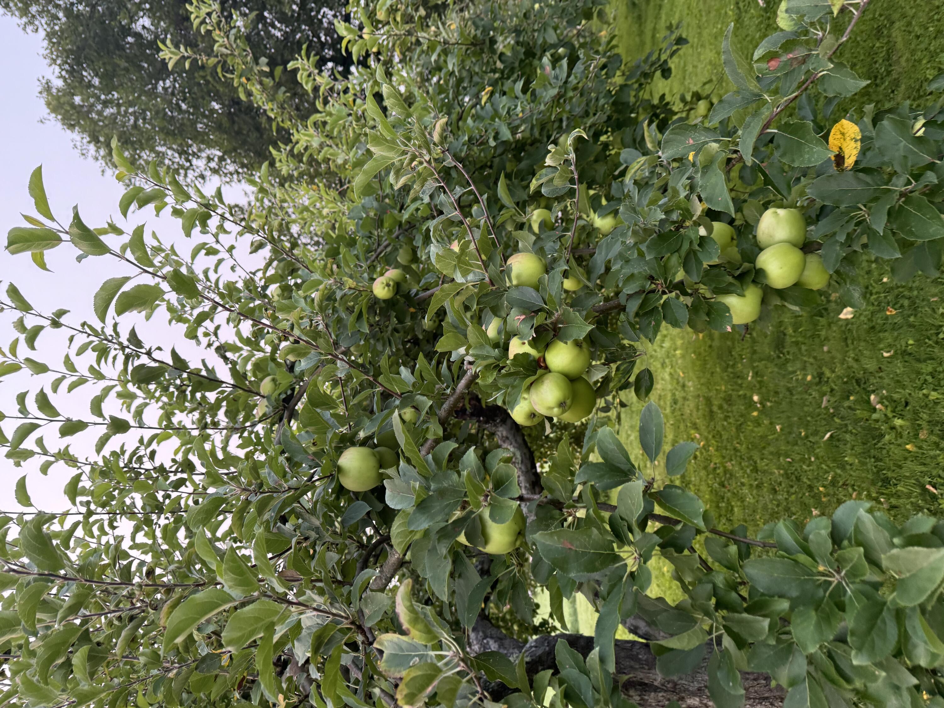 356 Range Road, Atkinson, ME, 04426