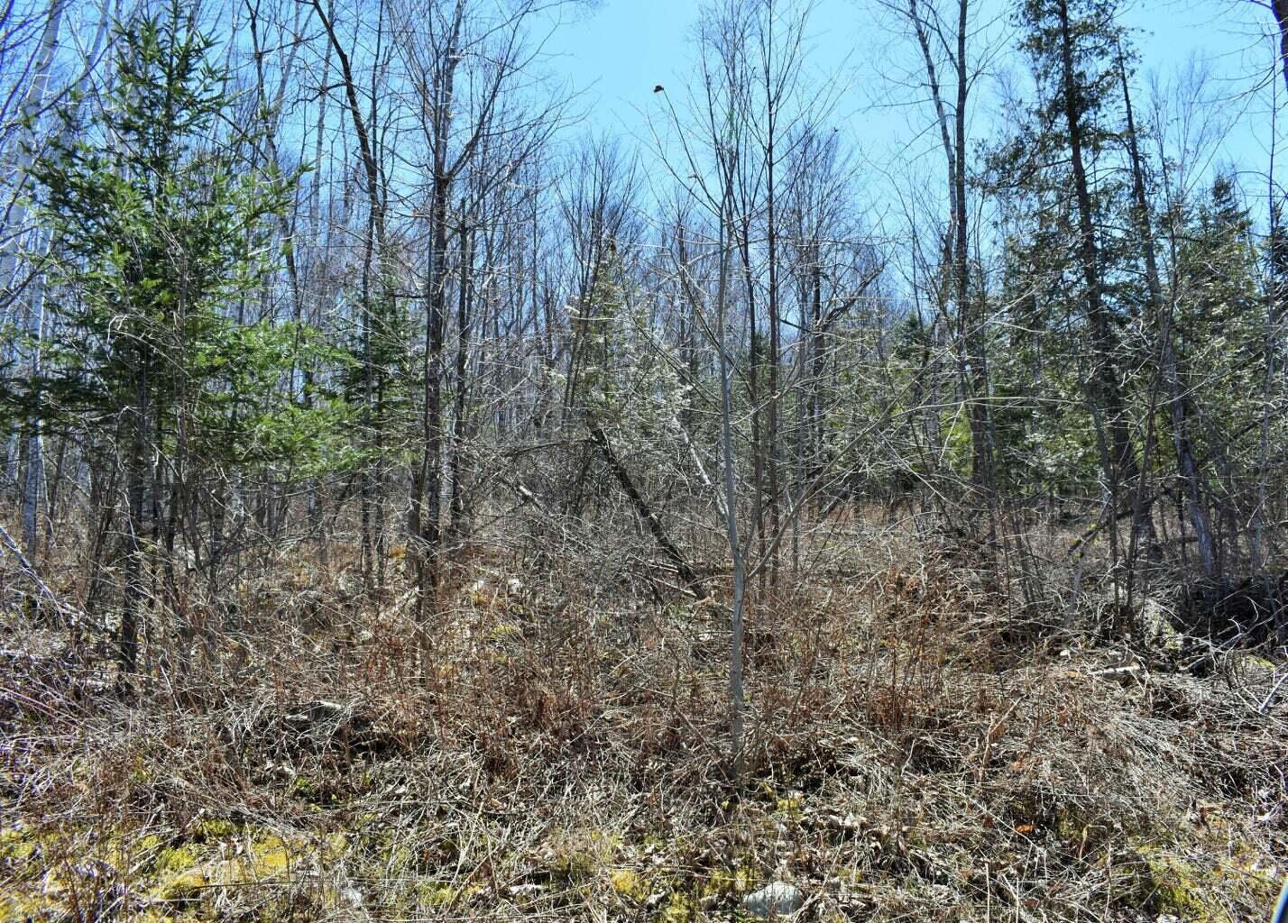 PO72,P090 Cotta Lane & RT 43, Saint Albans, ME, 04971