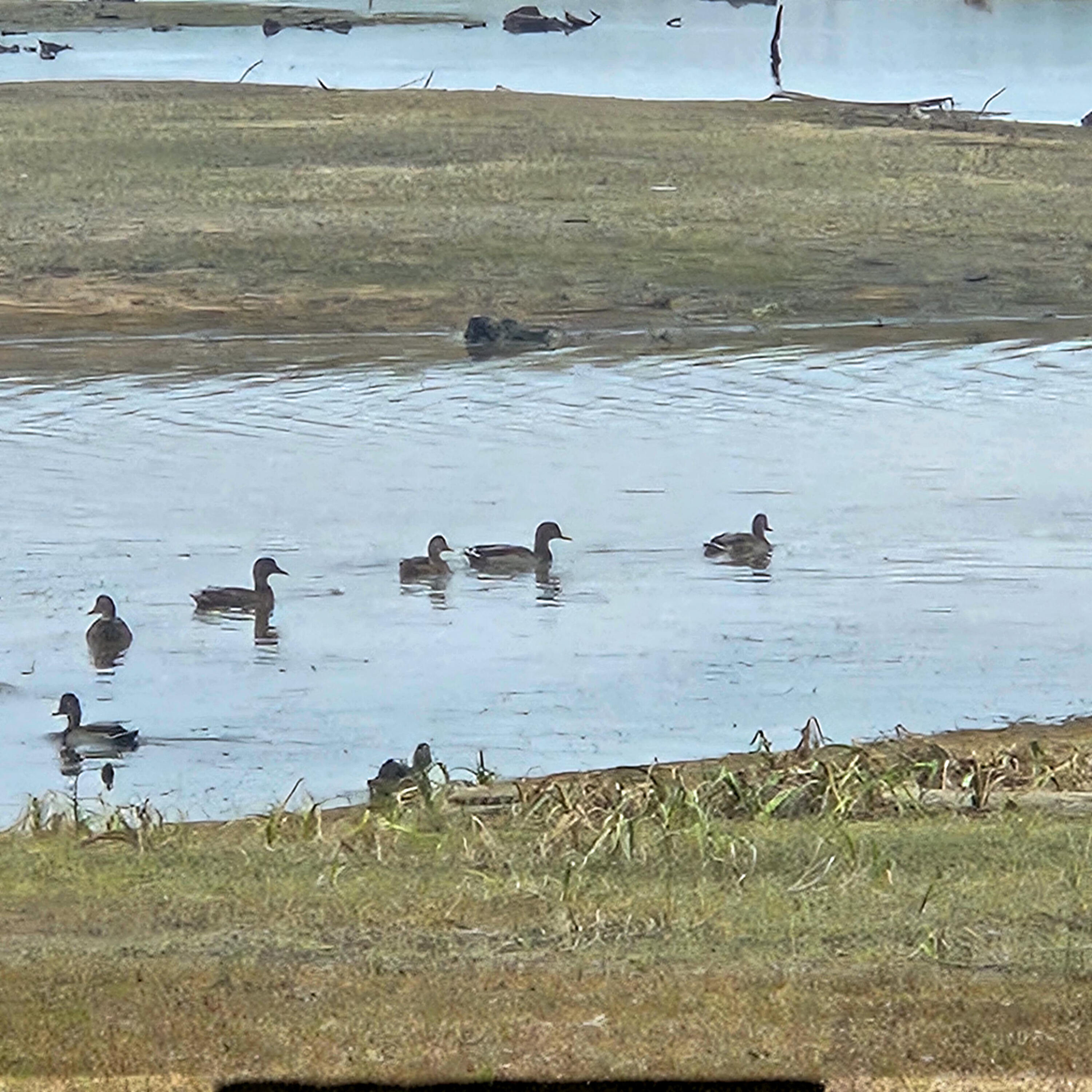 206 Morrison Farm Road, Mariaville, ME, 04605