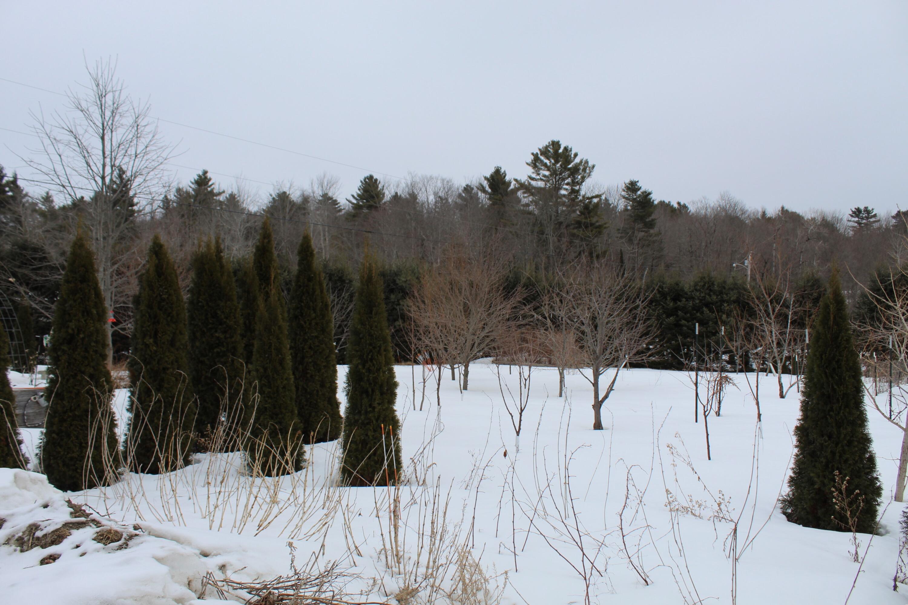 759 Brooks Road, Knox, ME, 04986