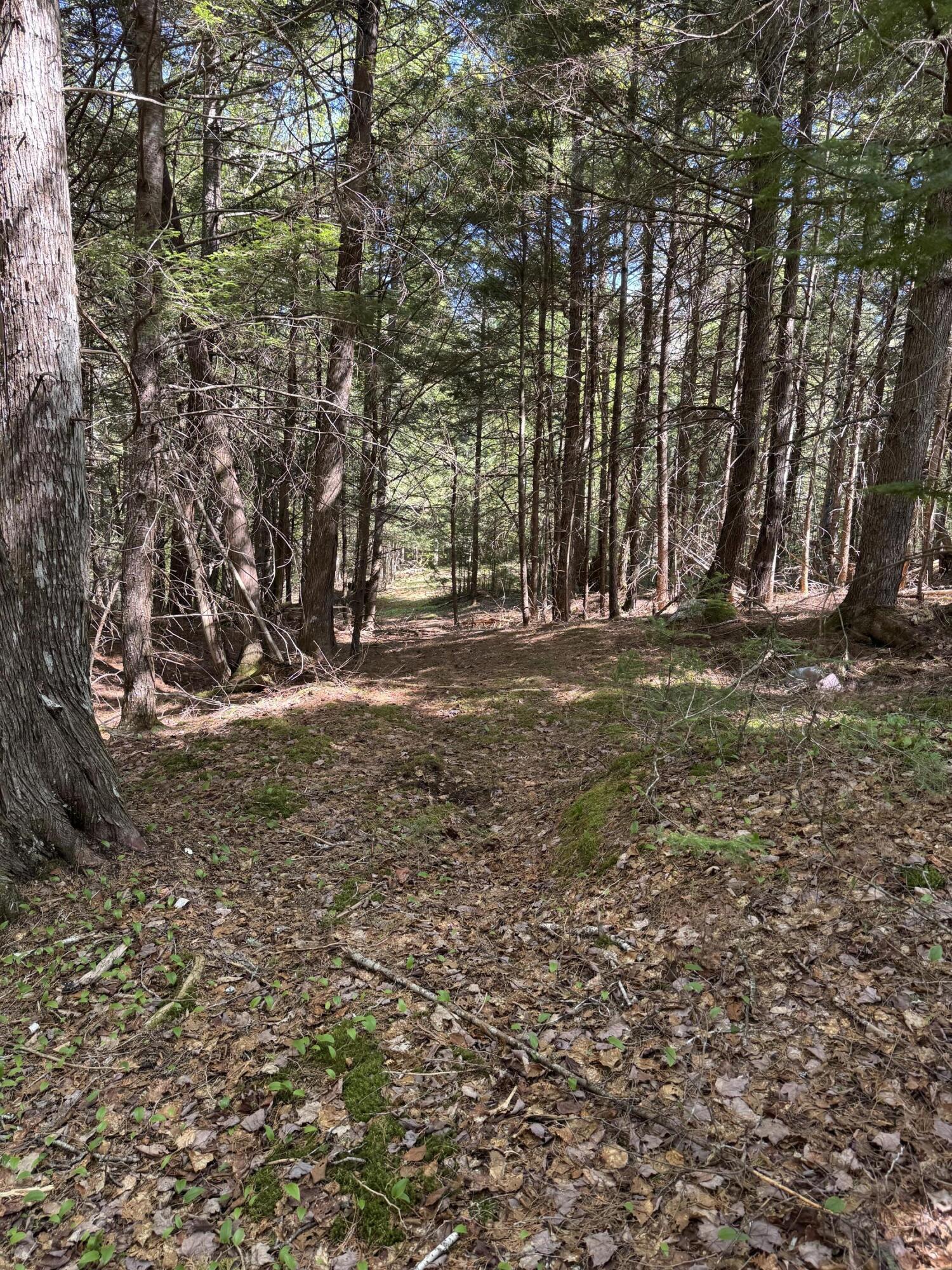 property-listing-images