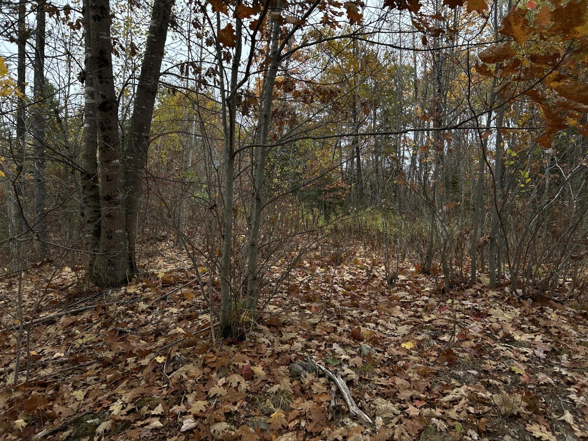 M4L18 Bog Road, Jackson, ME, 04921