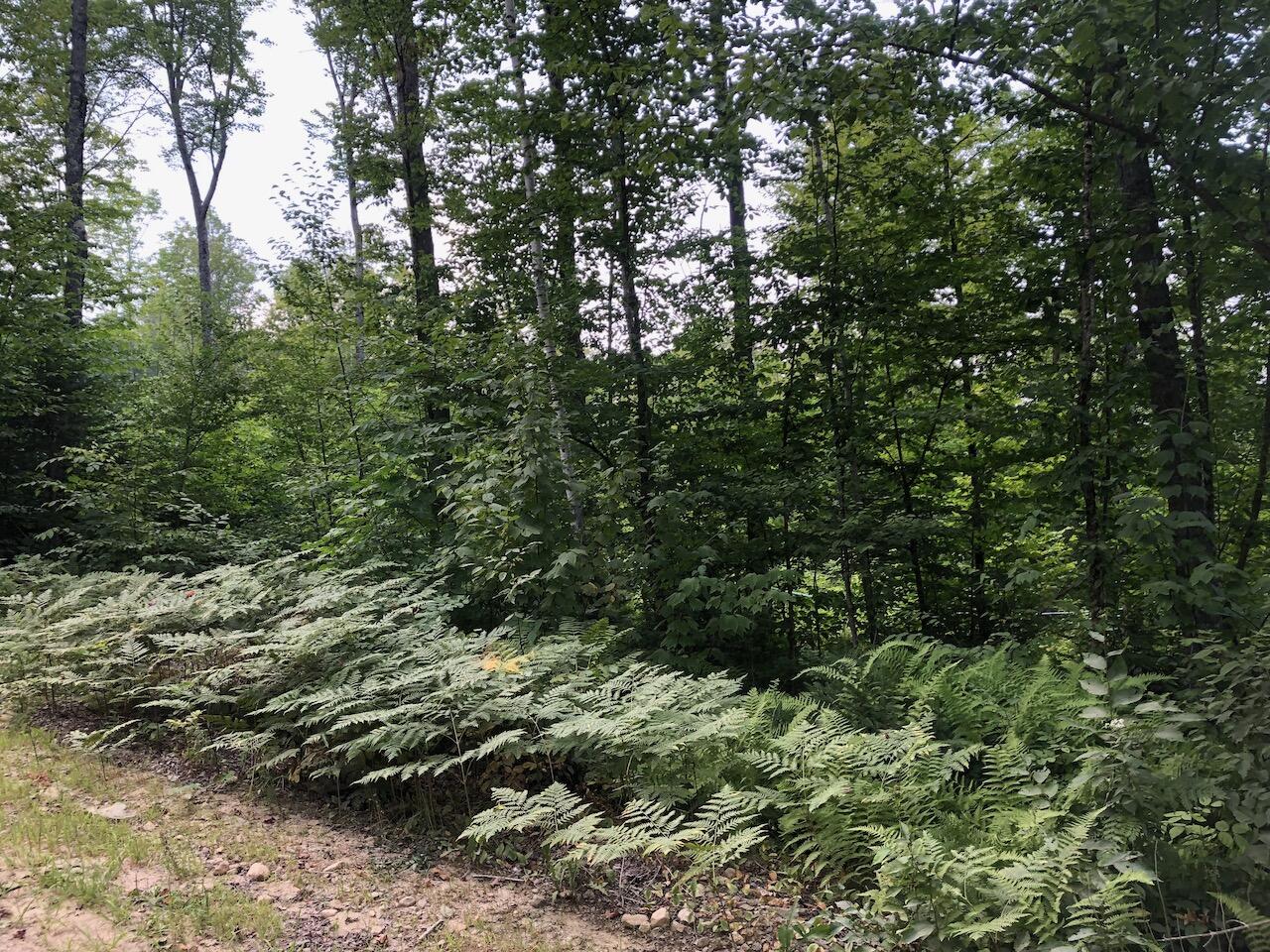 06 Swett Brook Lane, Weld, ME, 04285