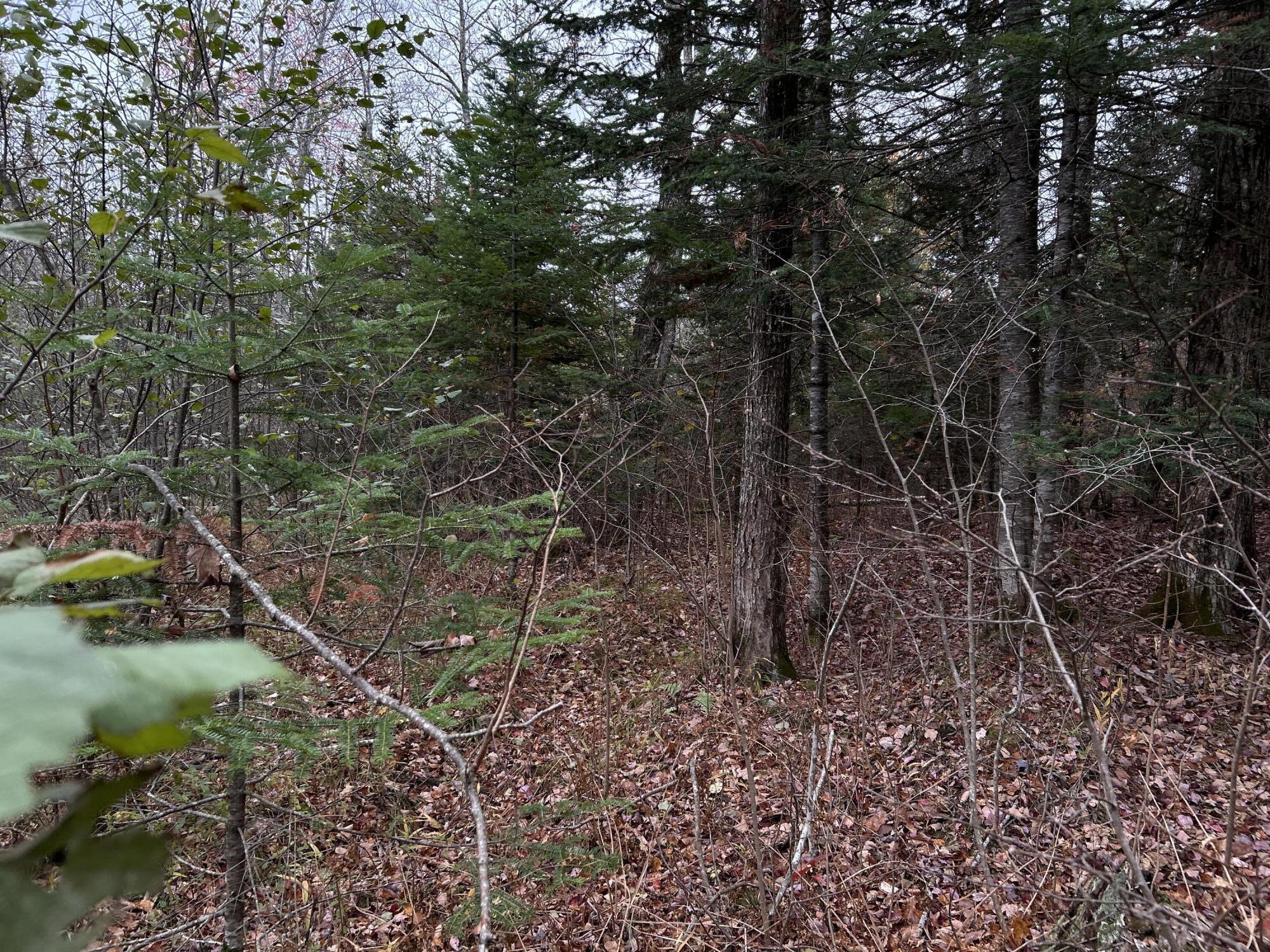 M4L18 Bog Road, Jackson, ME, 04921