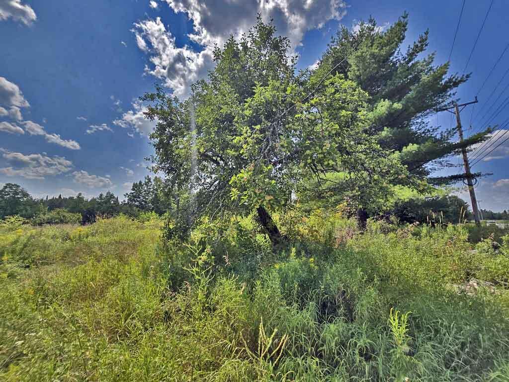 1020 County Road, New Limerick, ME, 04761