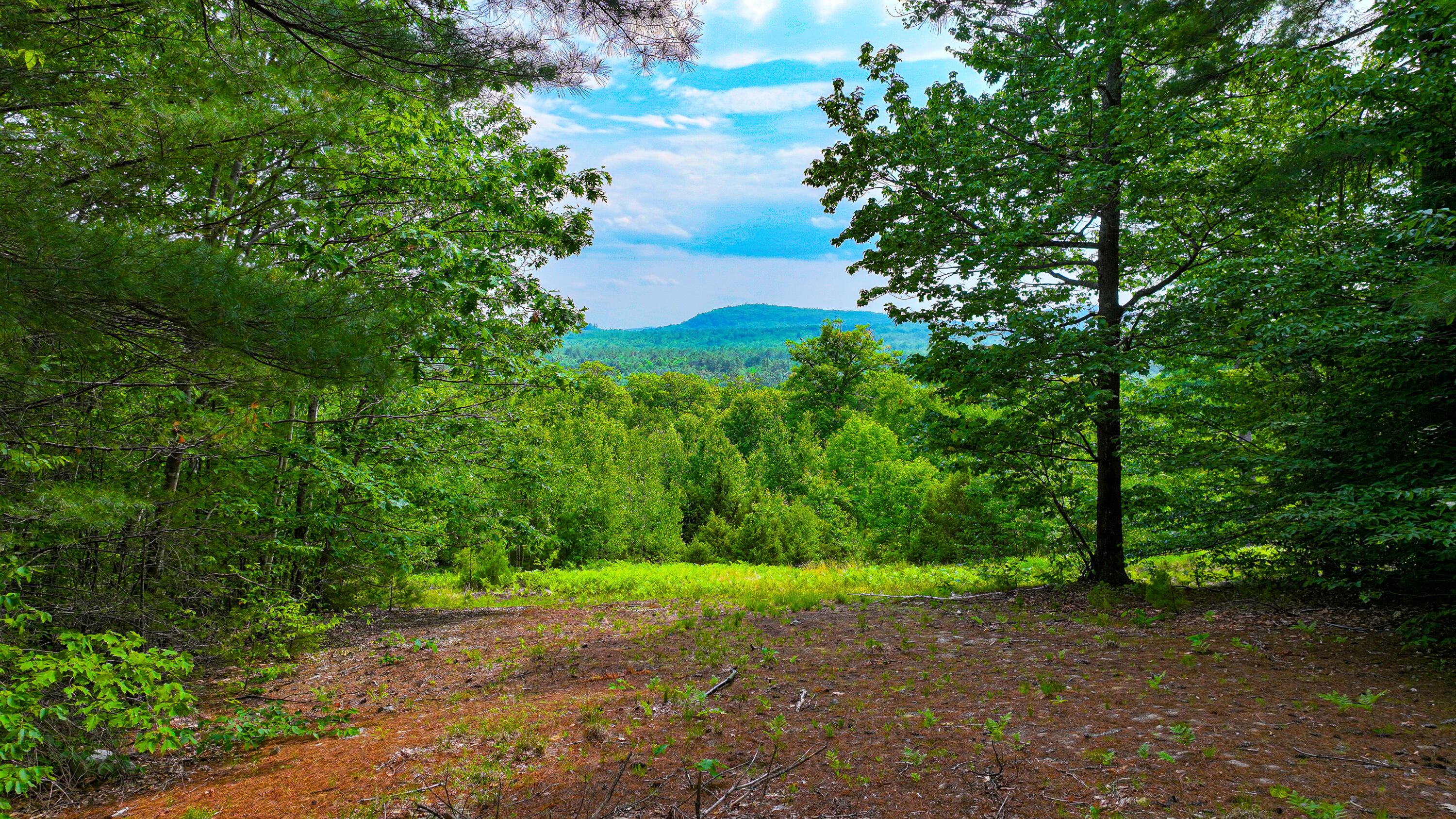 Photo of Lot 31B McDaniel's Drive Waterford ME 04088
