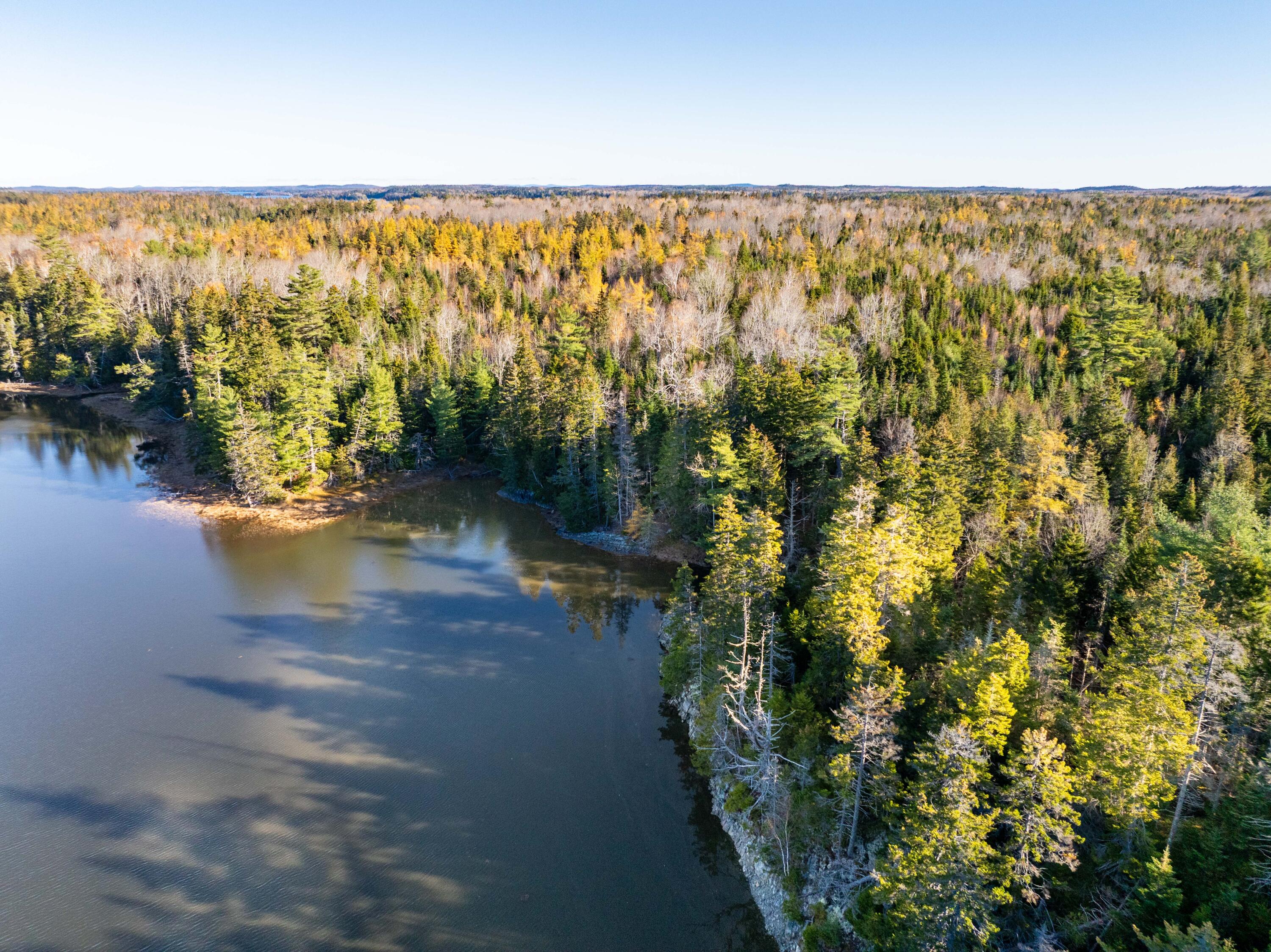 01-4 WA035, Trescott Twp, ME, 04652