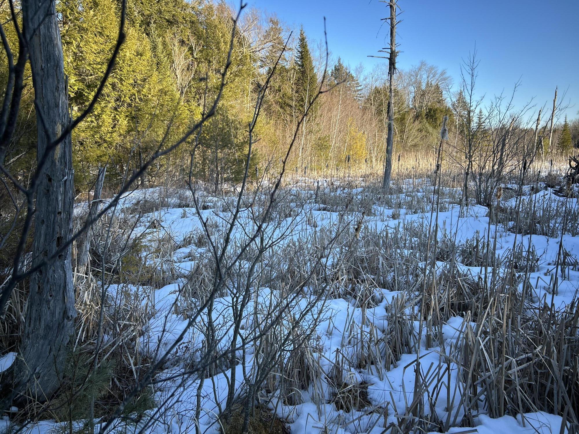 M7L22 Nelson Ridge Road N, Washington, ME, 04574