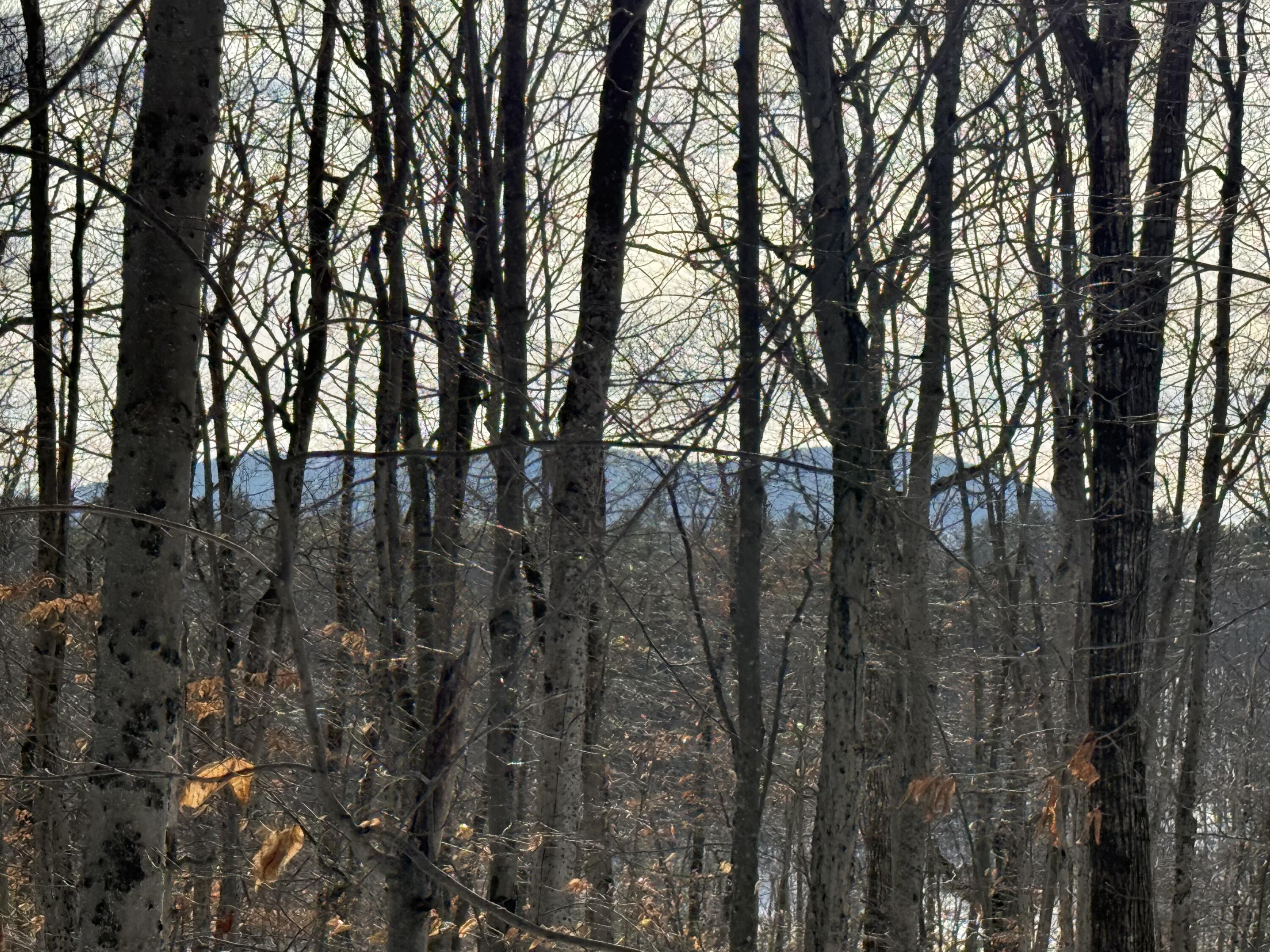 Lot 15-3B Sweden Road, Bridgton, ME, 04009