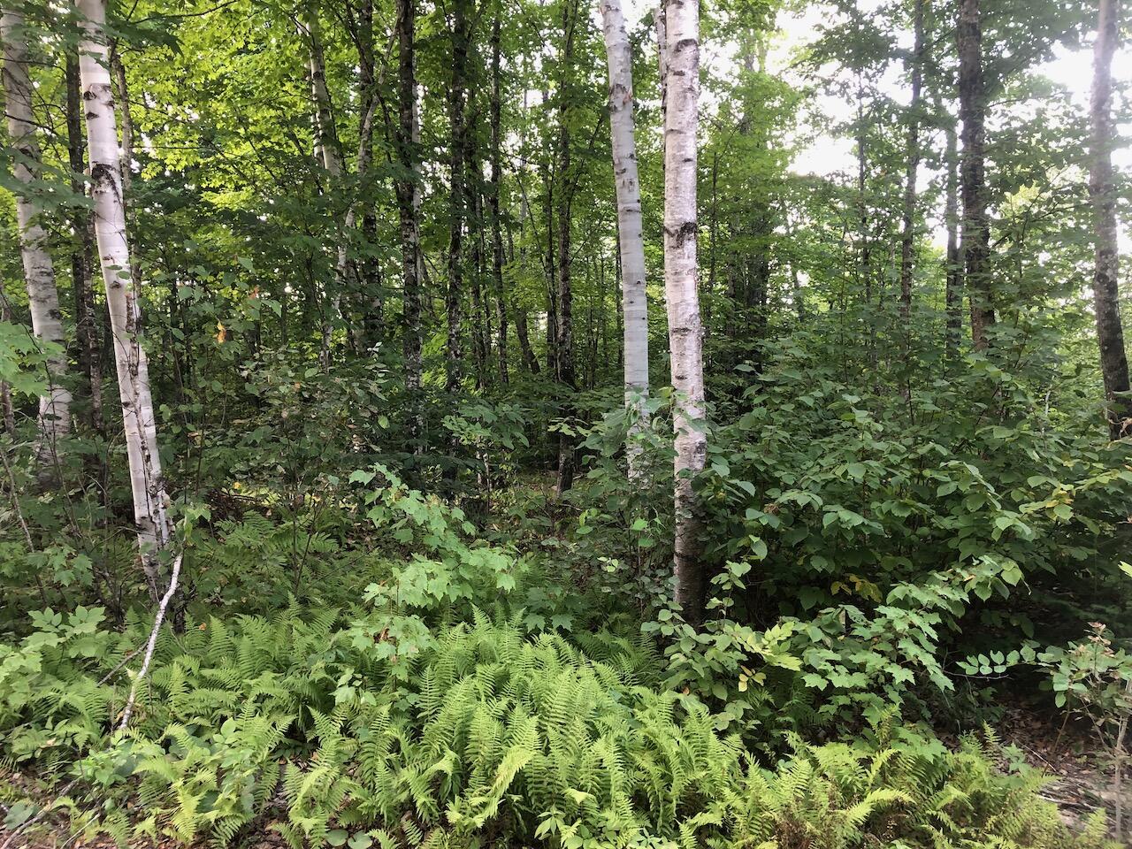 06 Swett Brook Lane, Weld, ME, 04285