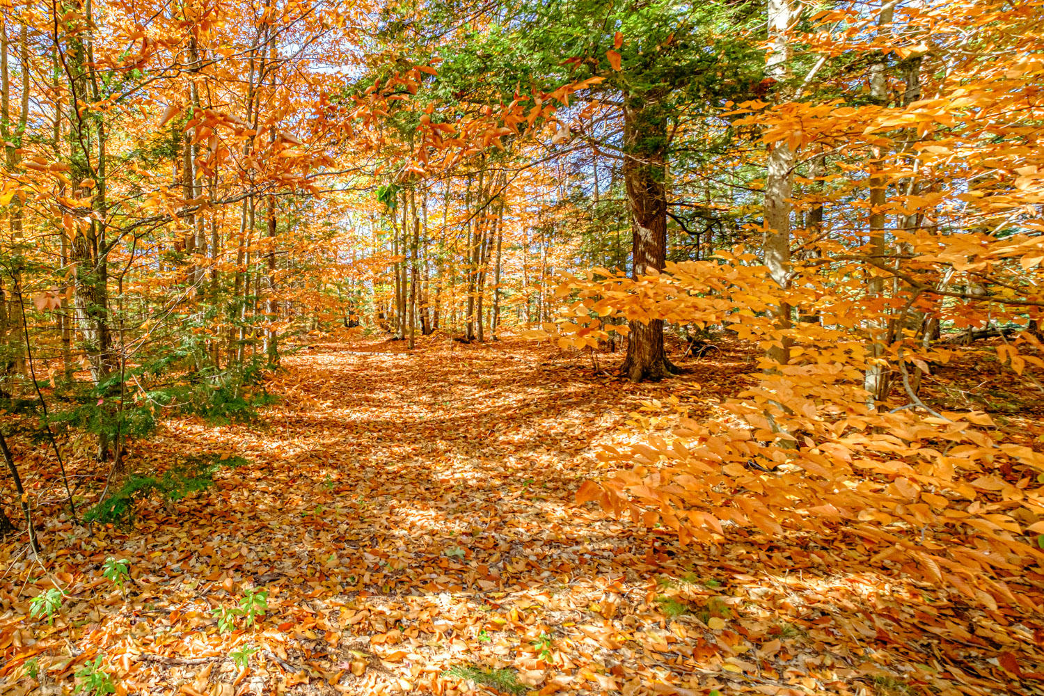 10 Oak Drive, Bethel, ME, 04217-3010