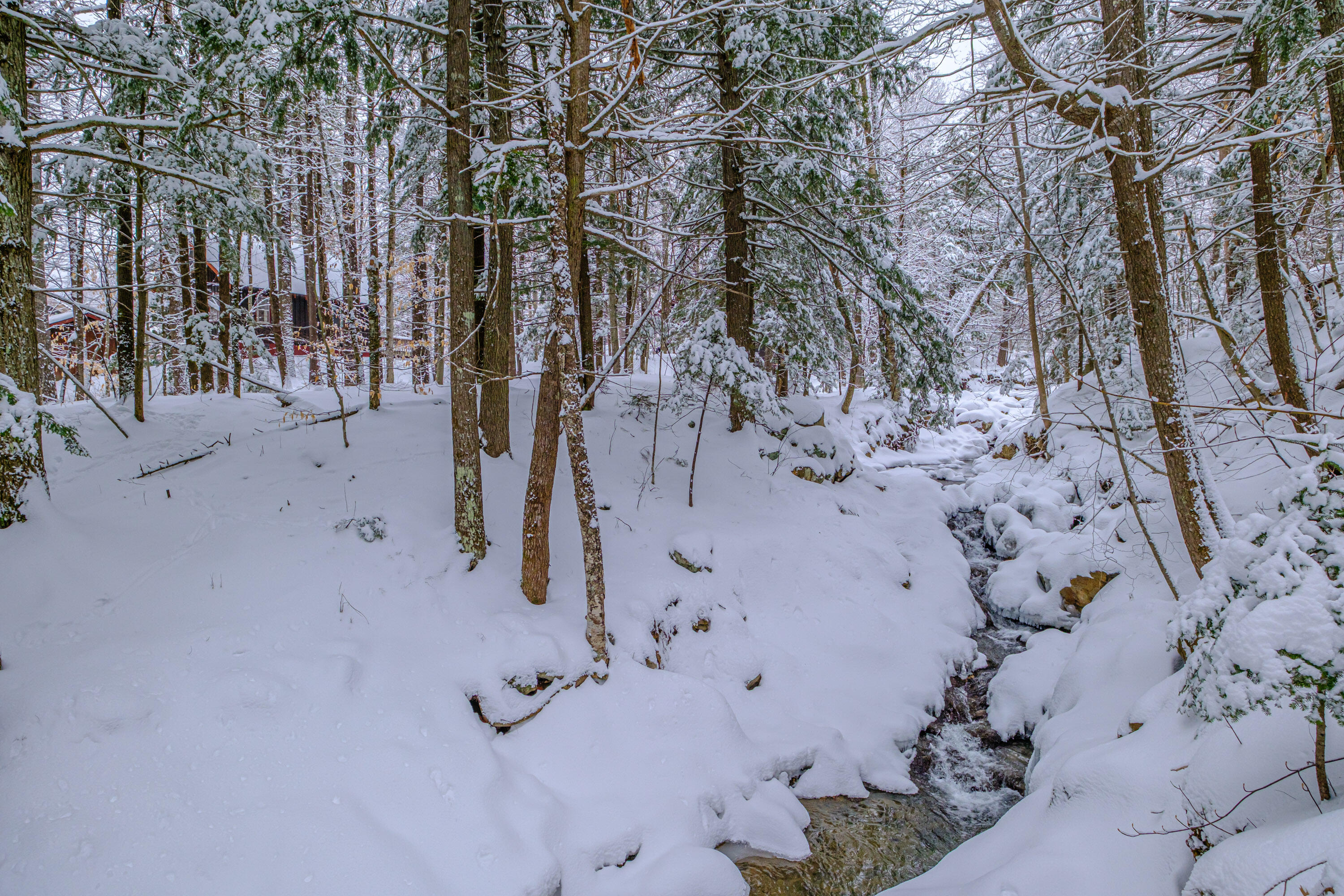 45 Viking Village Road, Newry, ME, 04261