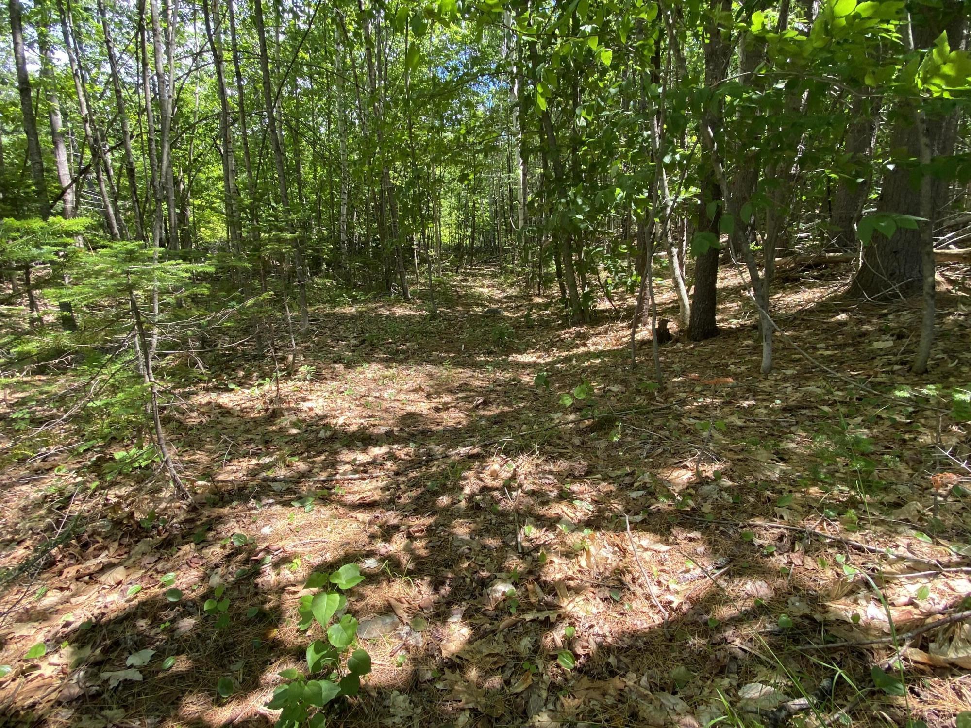 64 Bird Hill Road, Woodstock, ME, 04217