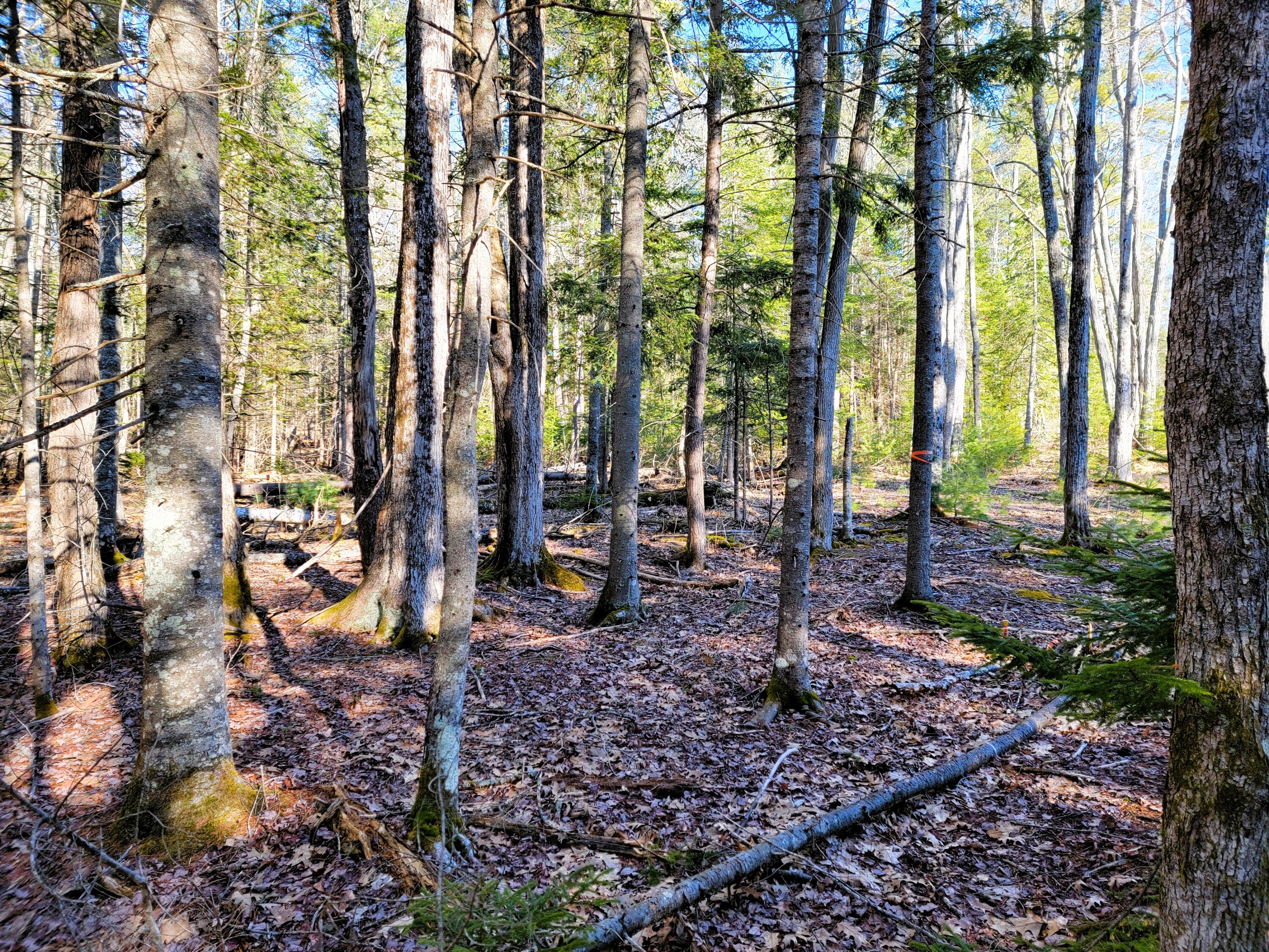 0 Redding Lane, Freeport, ME, 04032