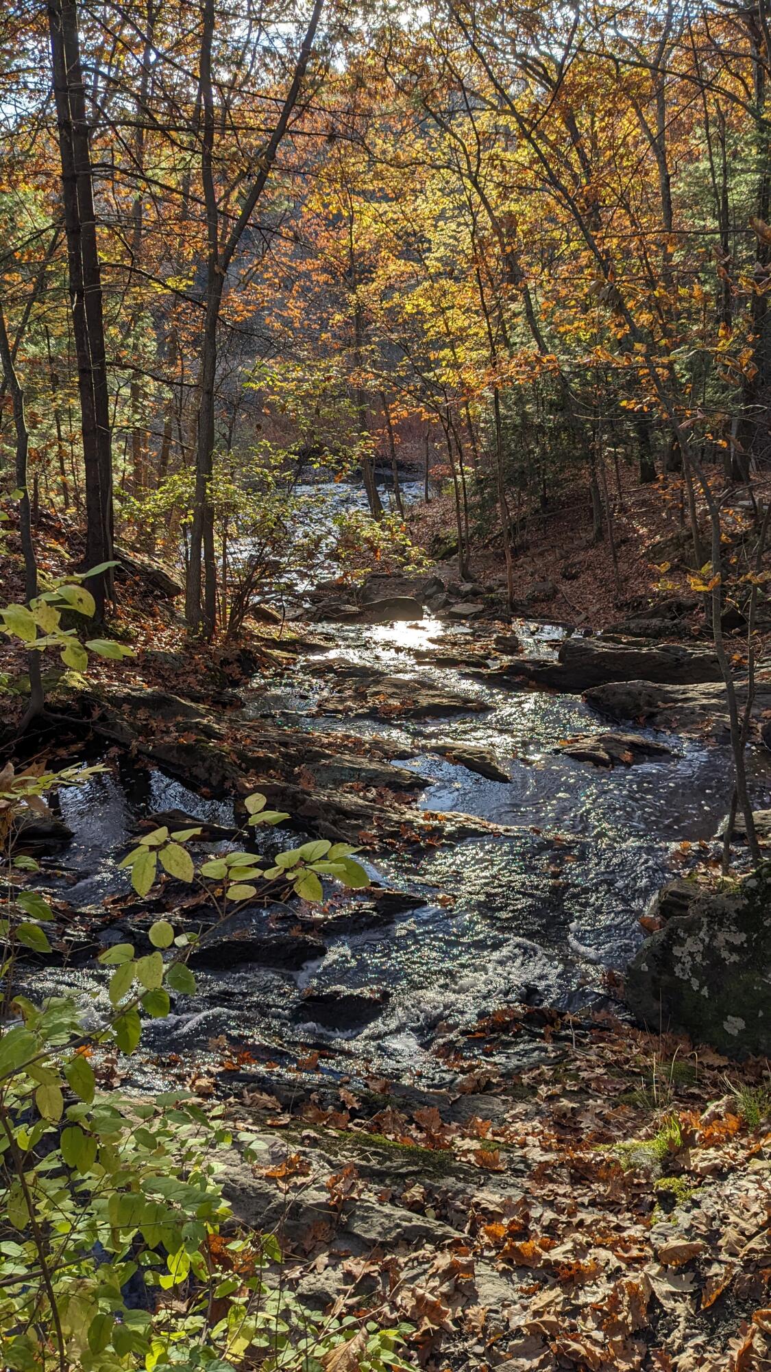 118 Rowe Avenue, Portland, ME 04102 Jewel Falls