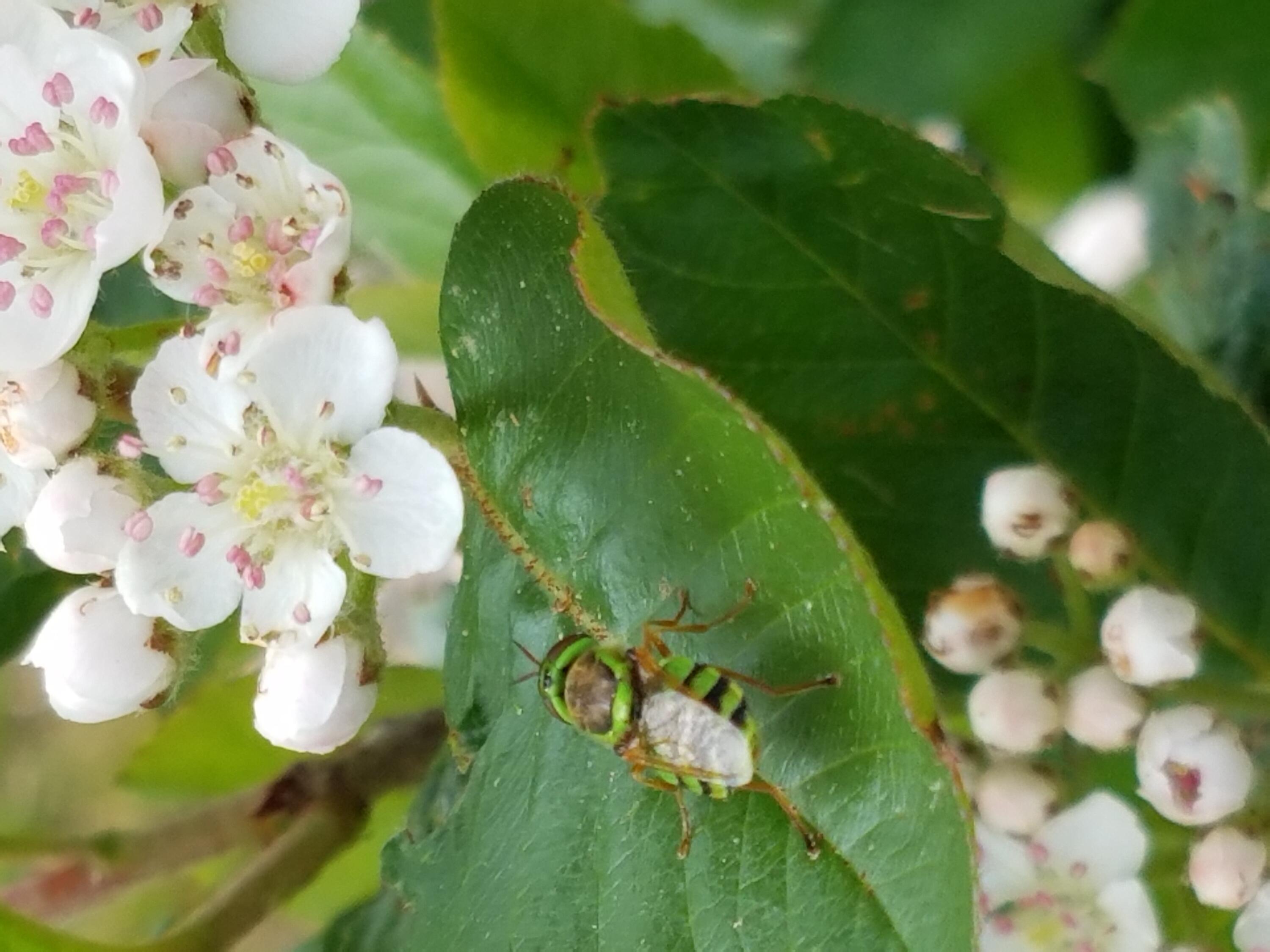 902 Dutch Neck Road, Waldoboro, ME, 04572