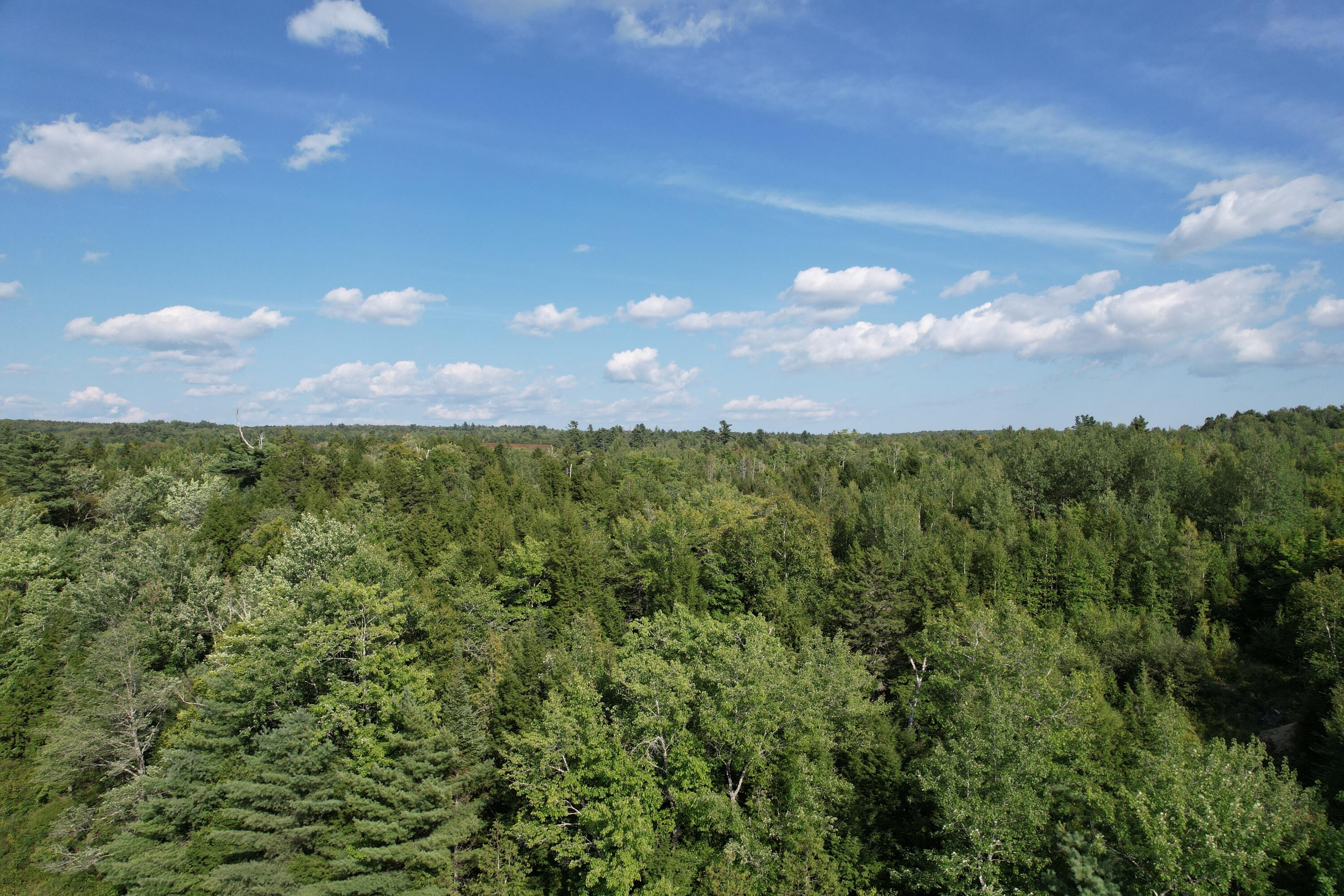 69K Christmas Cove Road, Crawford, ME, 04694