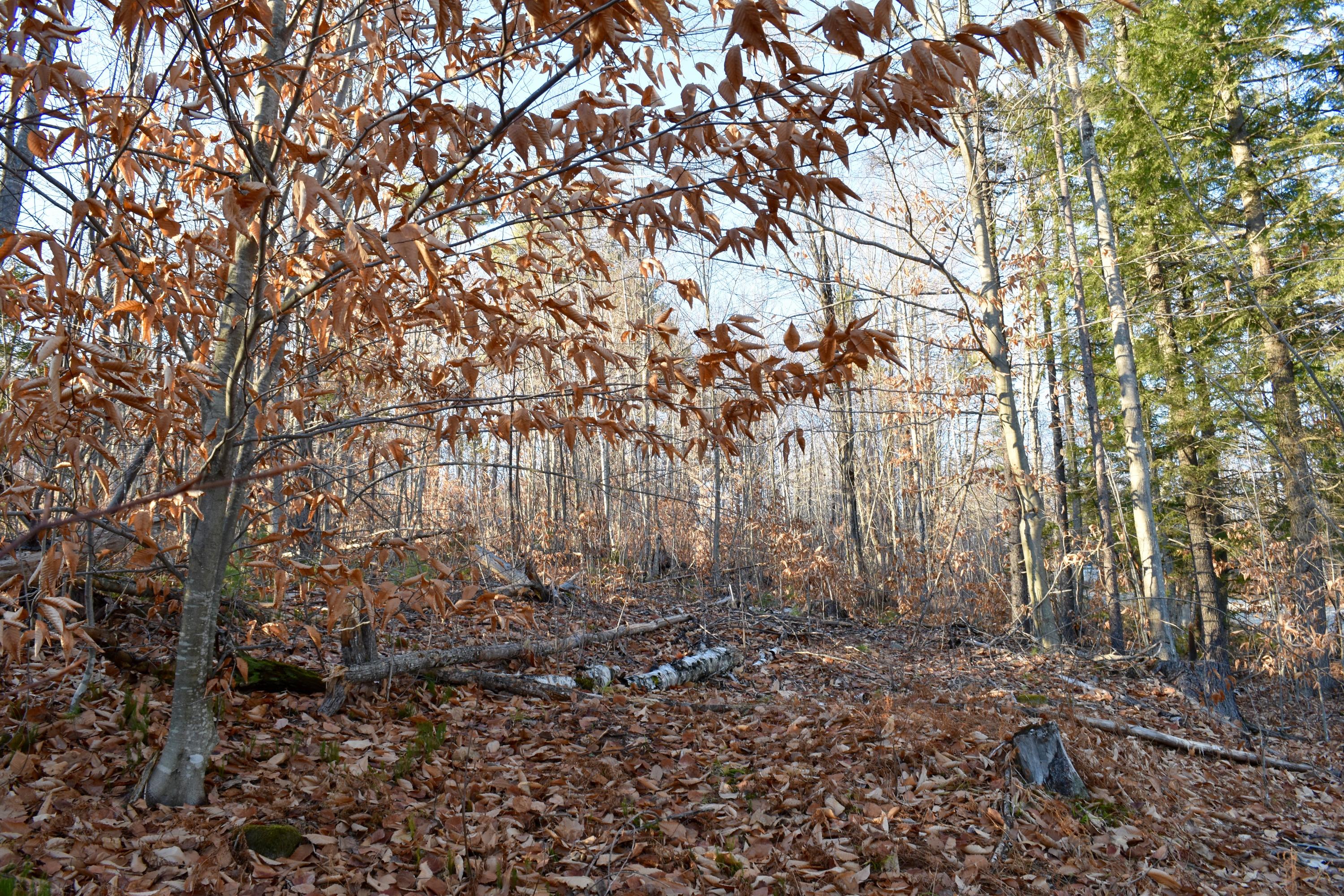 00 Chapman Hill Rd., Bethel, ME, 04217