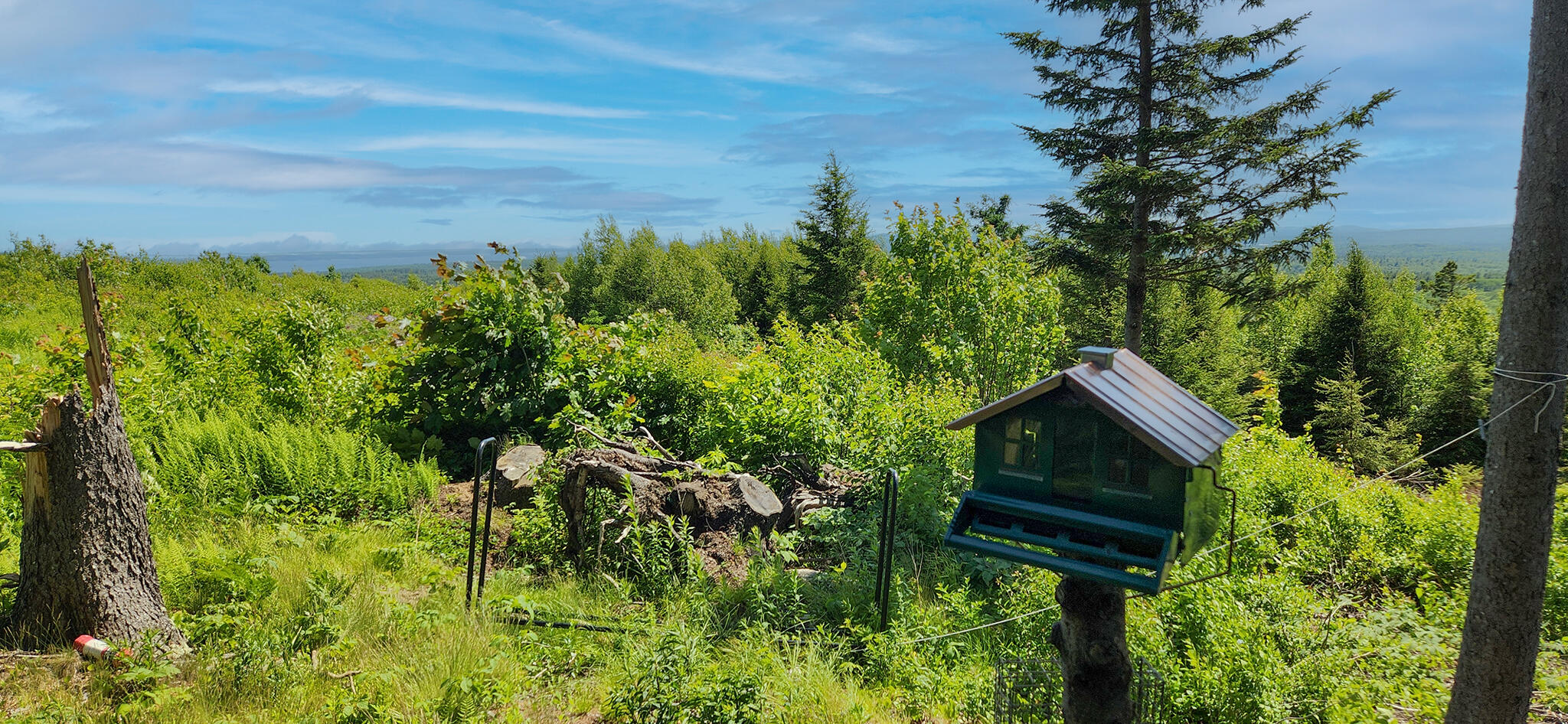 533 Mount Ephraim Map 4 Lot 63 Road, Searsport, ME, 04974