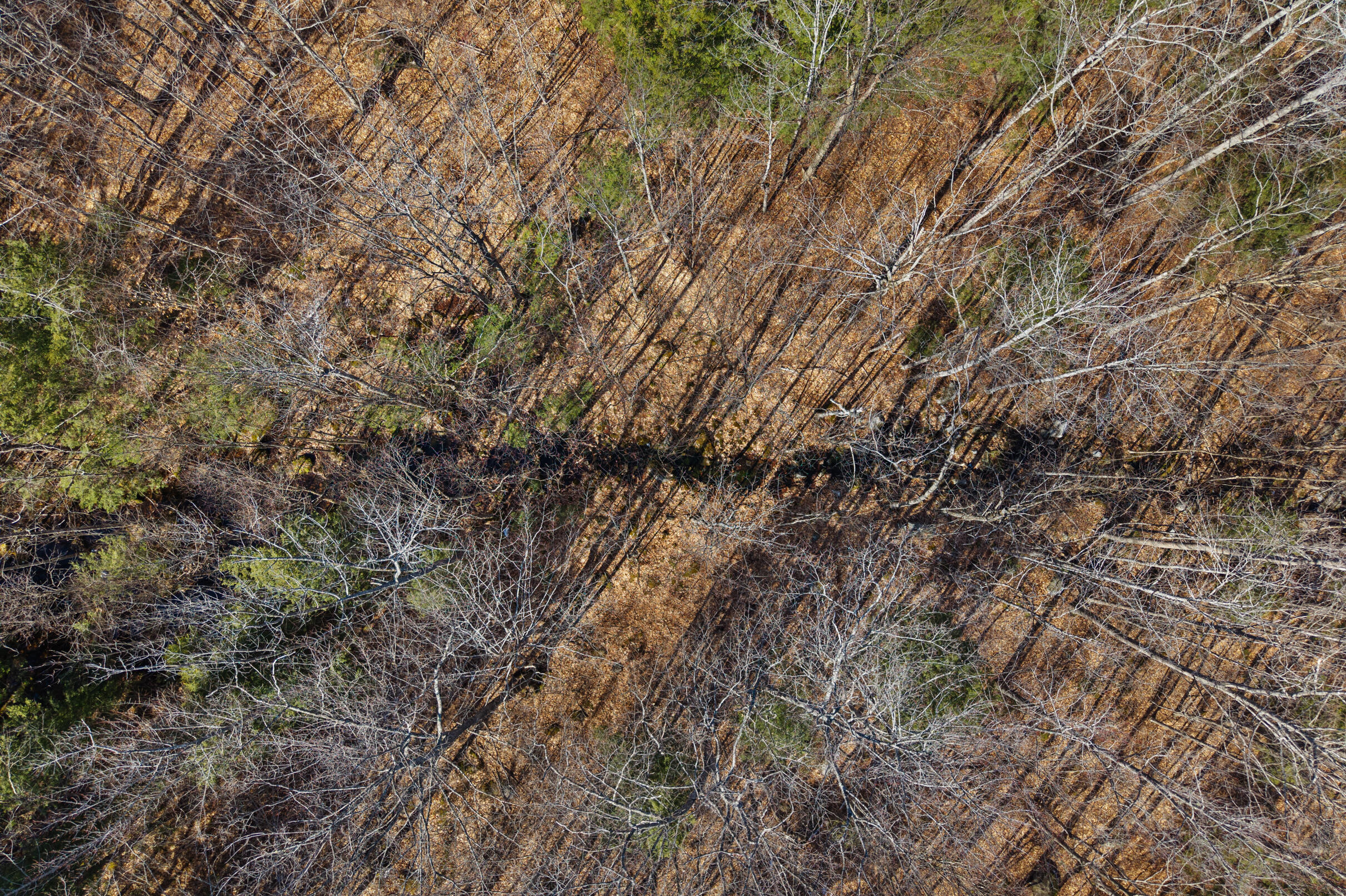 010 Main Street, Sumner, ME, 04220