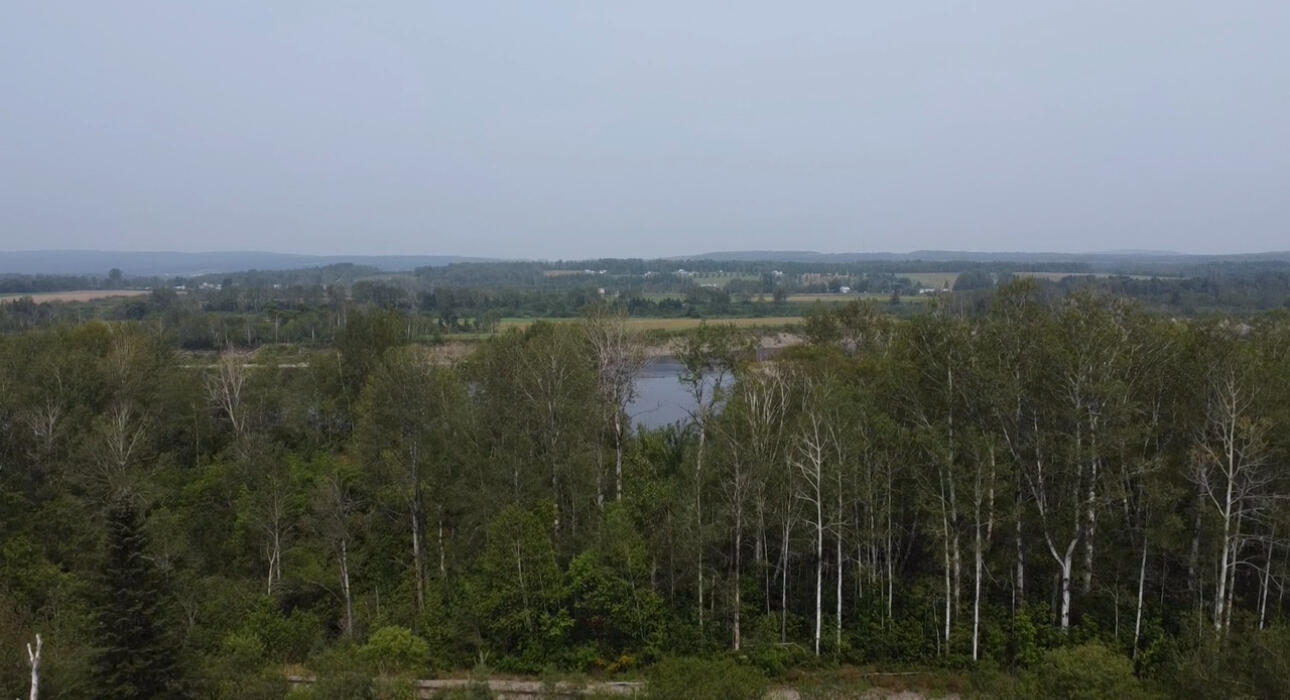 M48L15/16 US Rt 1, Grand Isle, ME, 04746