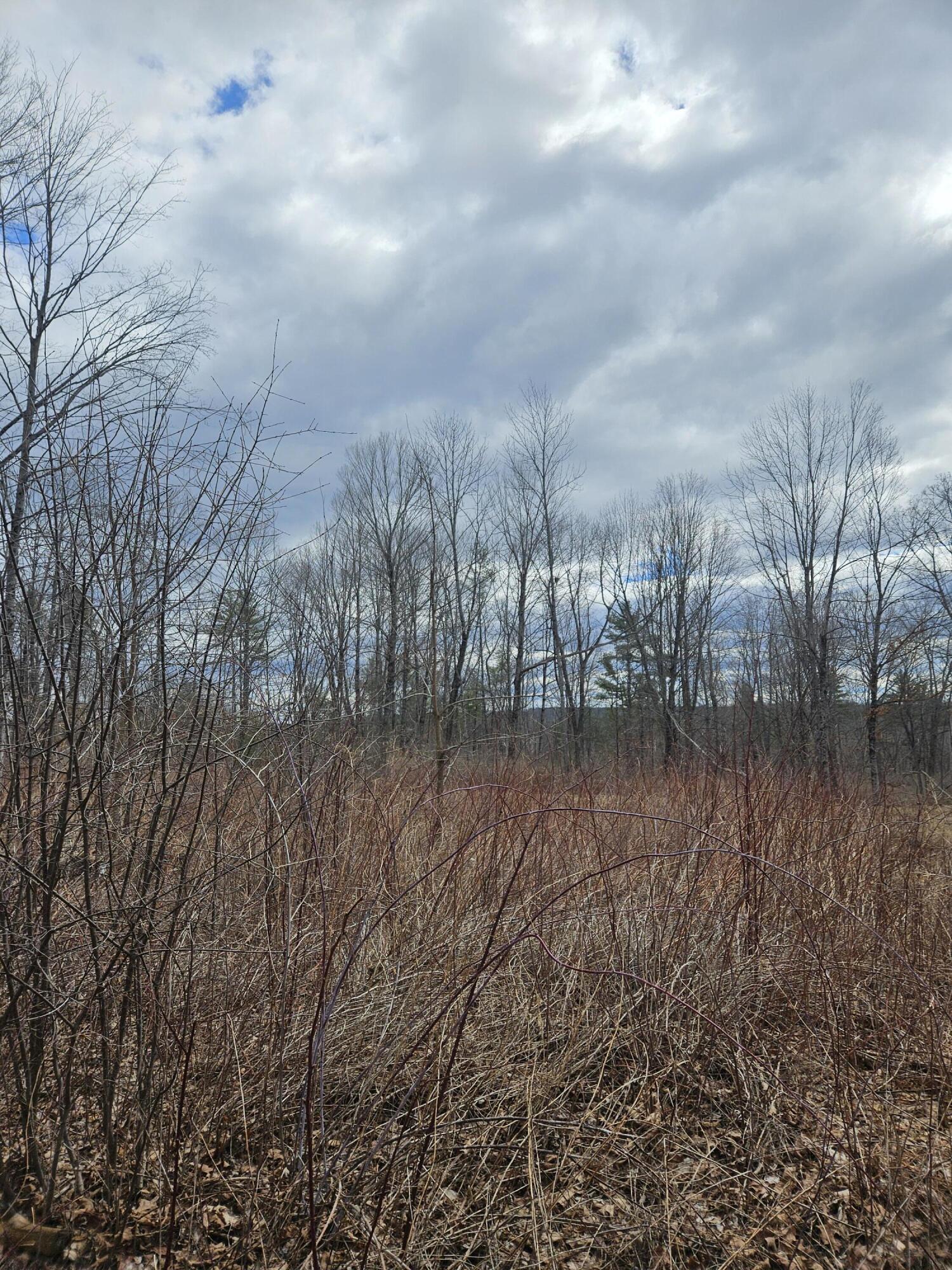 Lot 113-2 Cushman Road, Winslow, ME, 04901