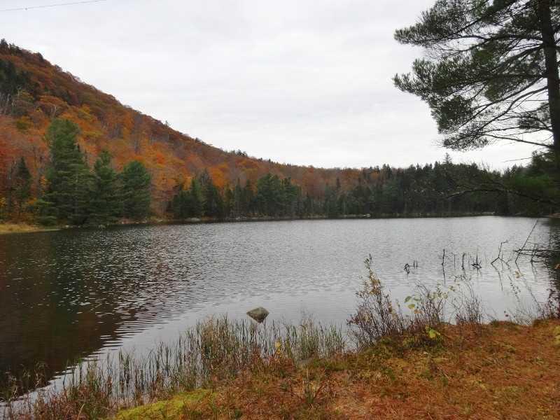 98 Carey'd Away Road, Rumford, ME, 04276
