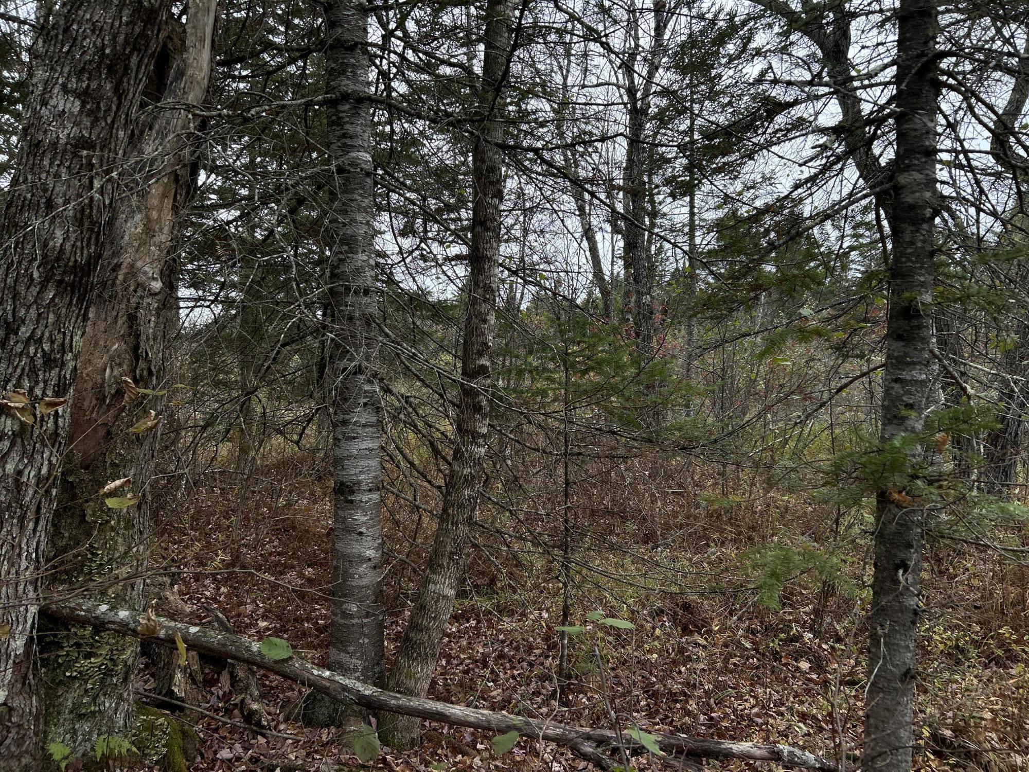 M4L18 Bog Road, Jackson, ME, 04921