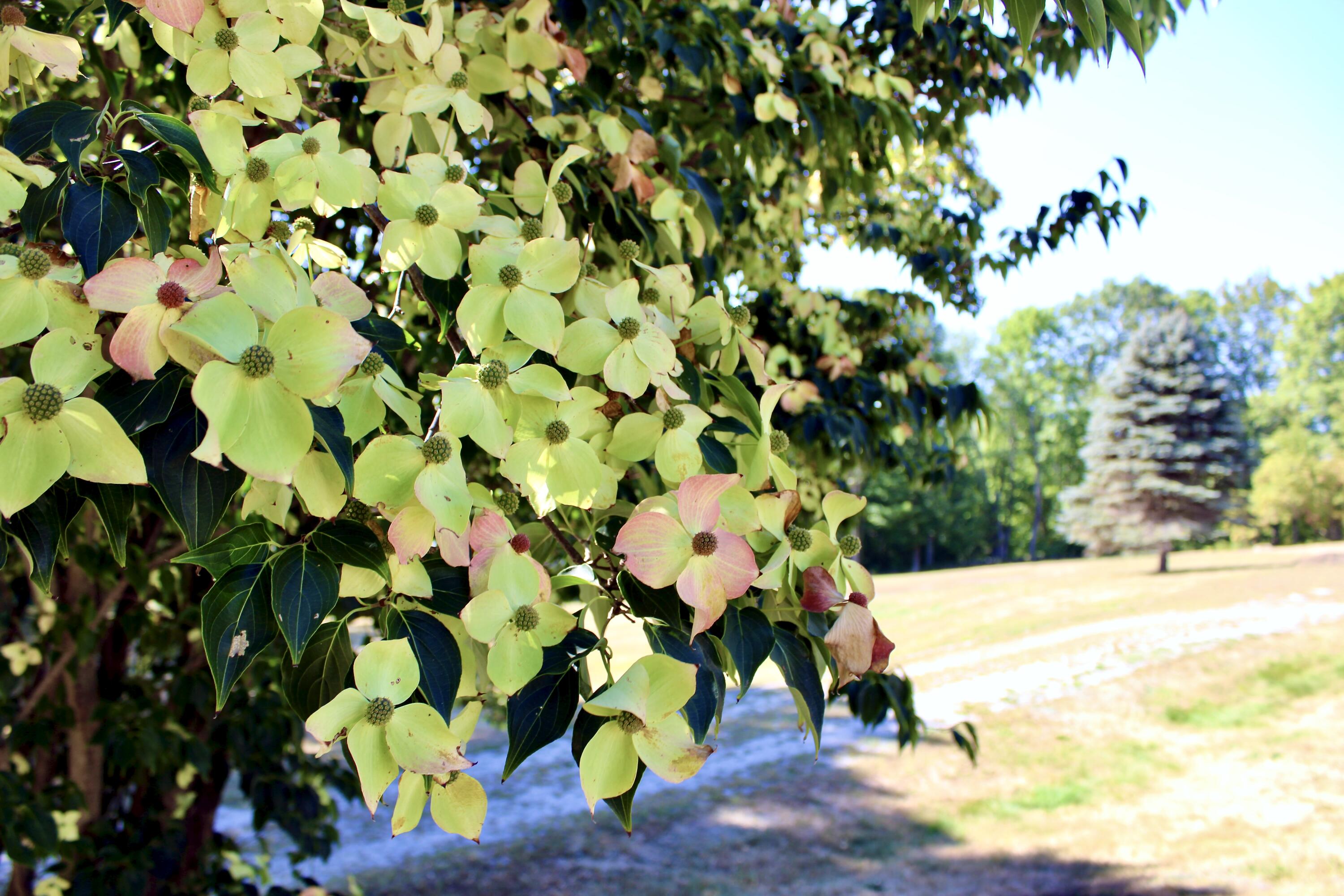 850 Lawrence Road, Pownal, ME, 04069