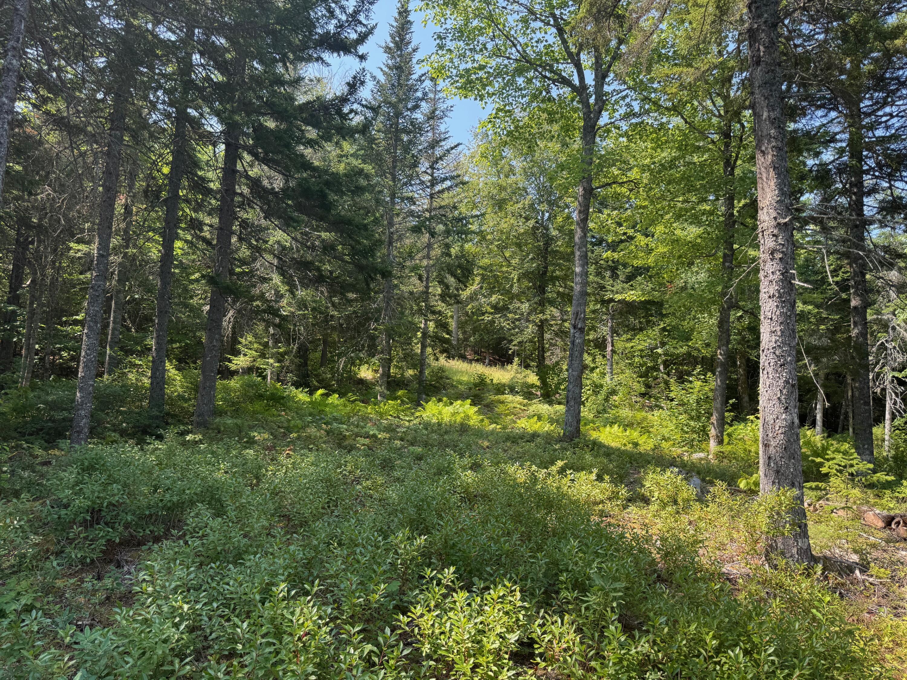 3 Steam Mill Road, Robbinston, ME, 04671