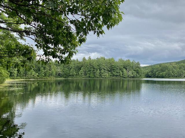 00 Brownfield Road, Hiram, ME, 04041