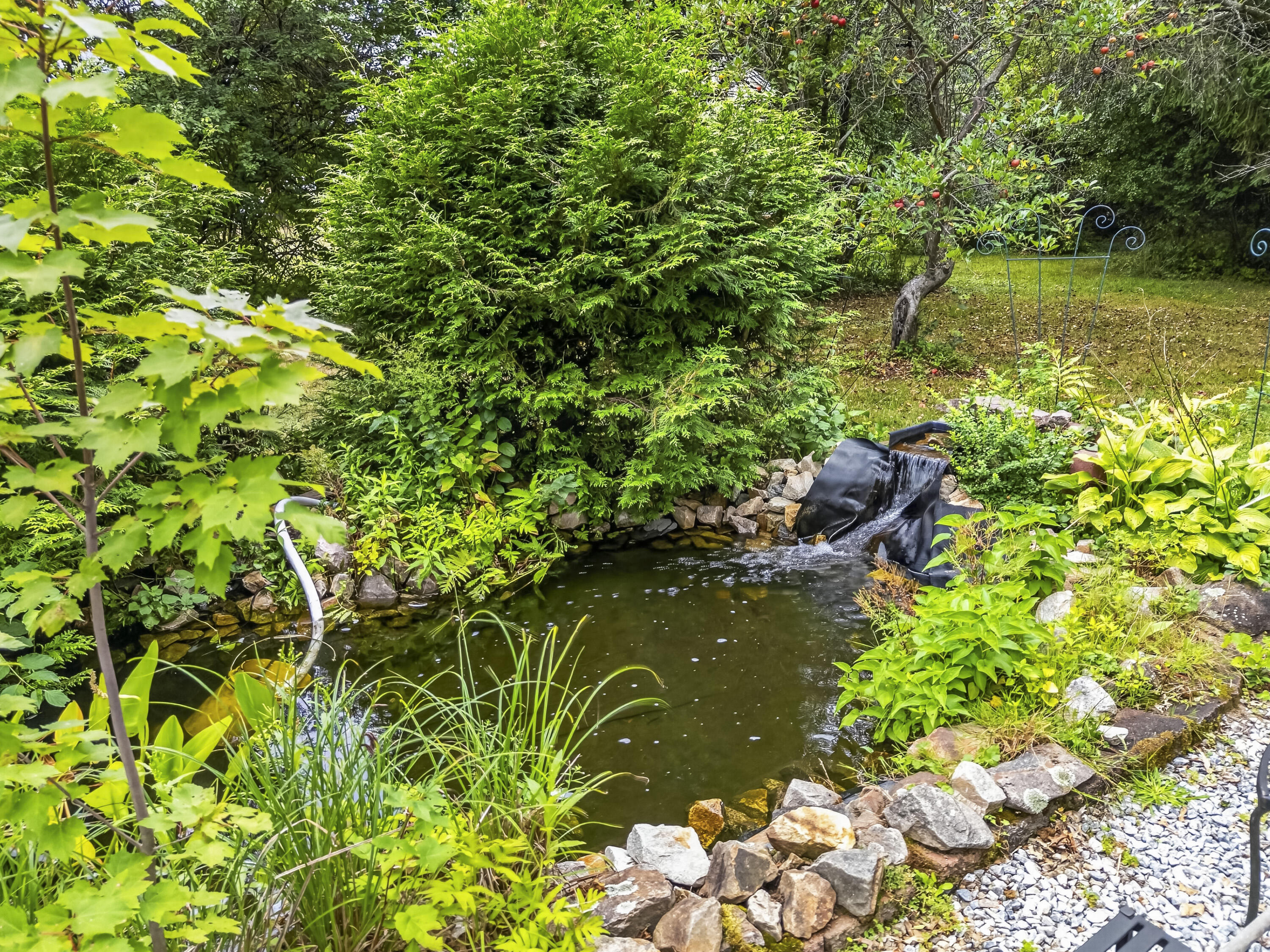 313 Portland Street, Berwick, ME 03901 Back Yard Pond