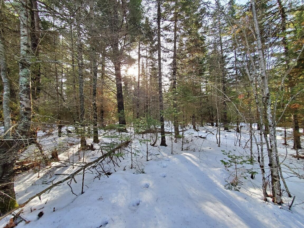 999 Main Road, Eddington, ME, 04428