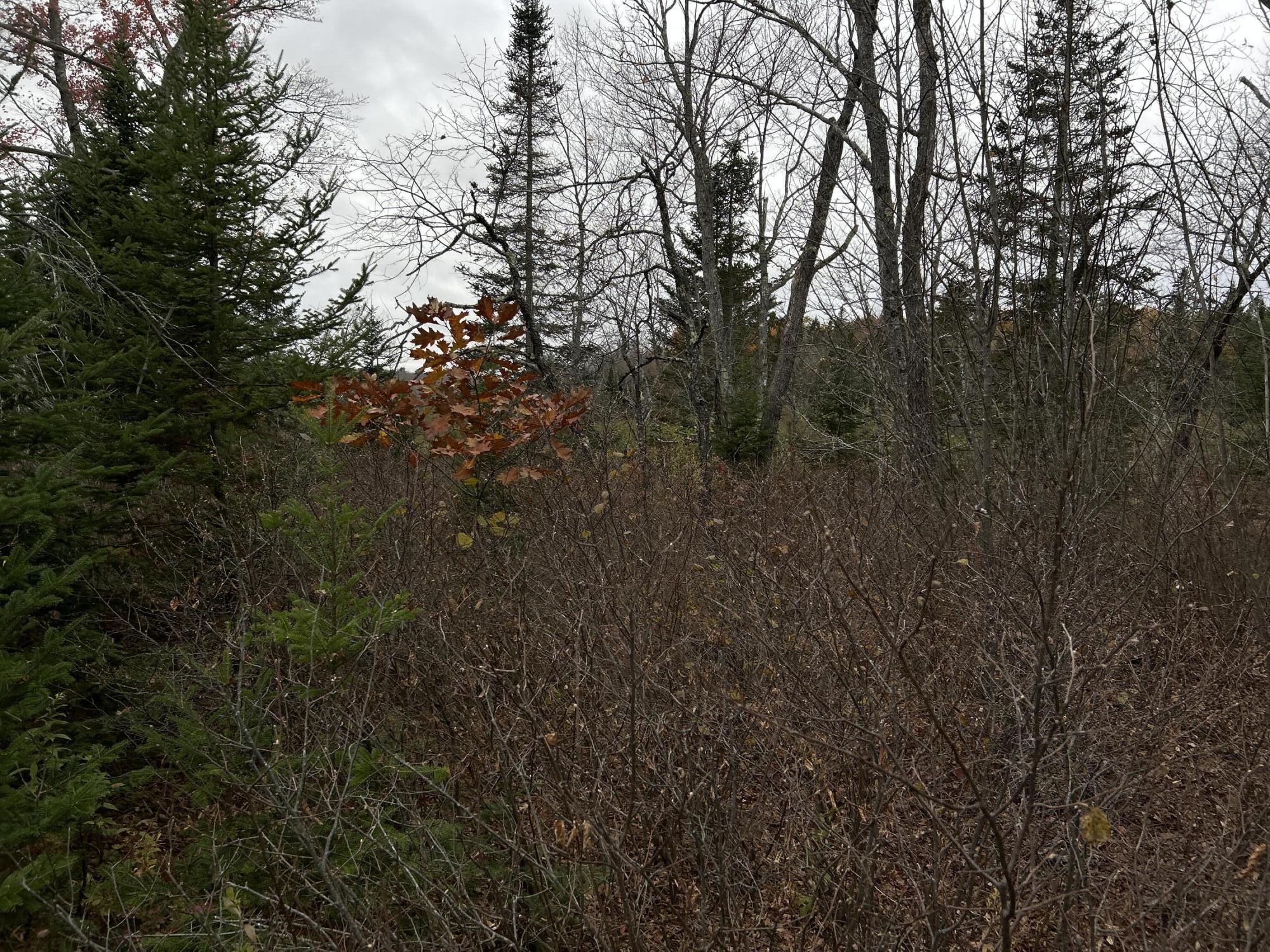 M4L18 Bog Road, Jackson, ME, 04921