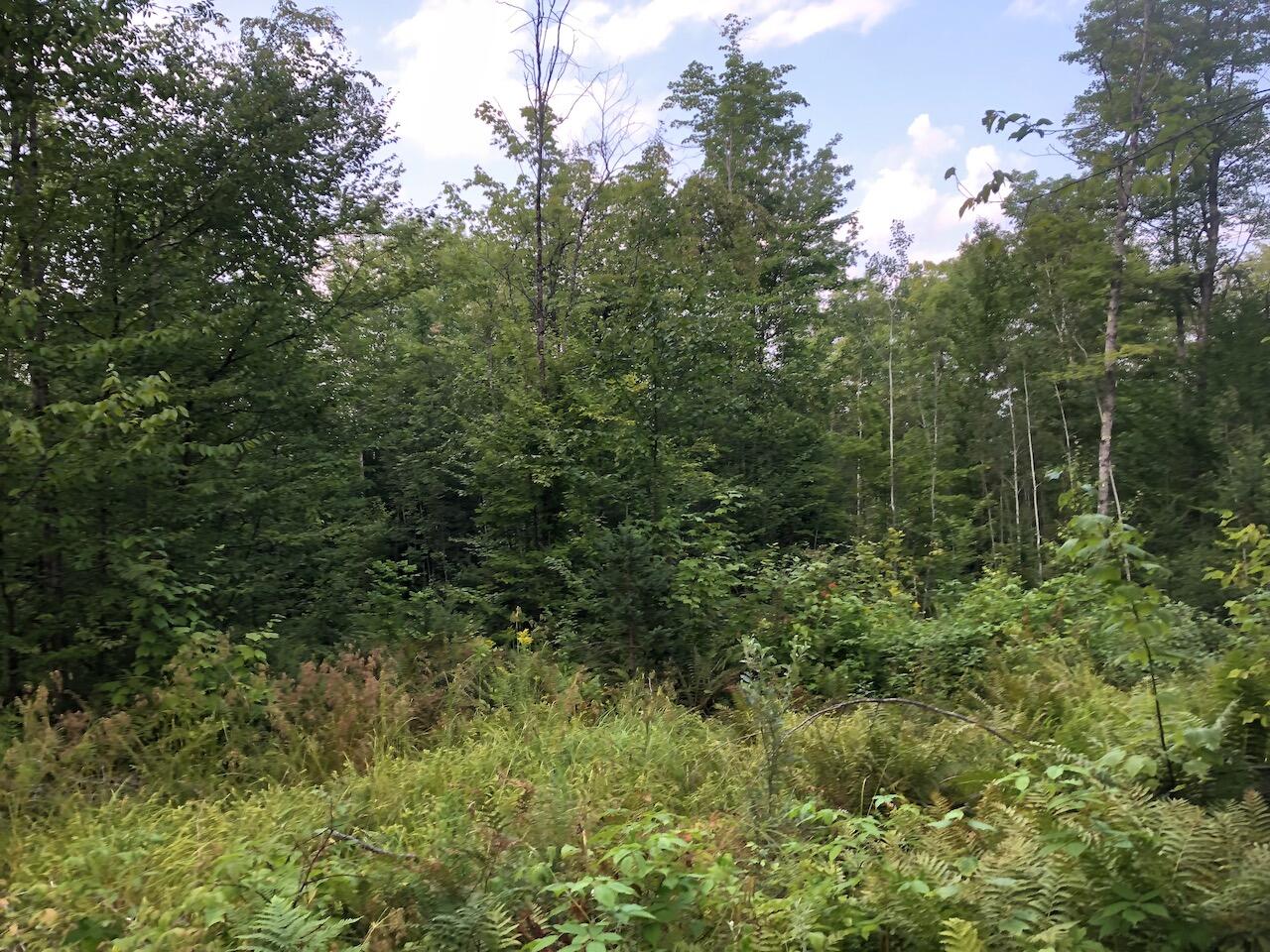 06 Swett Brook Lane, Weld, ME, 04285