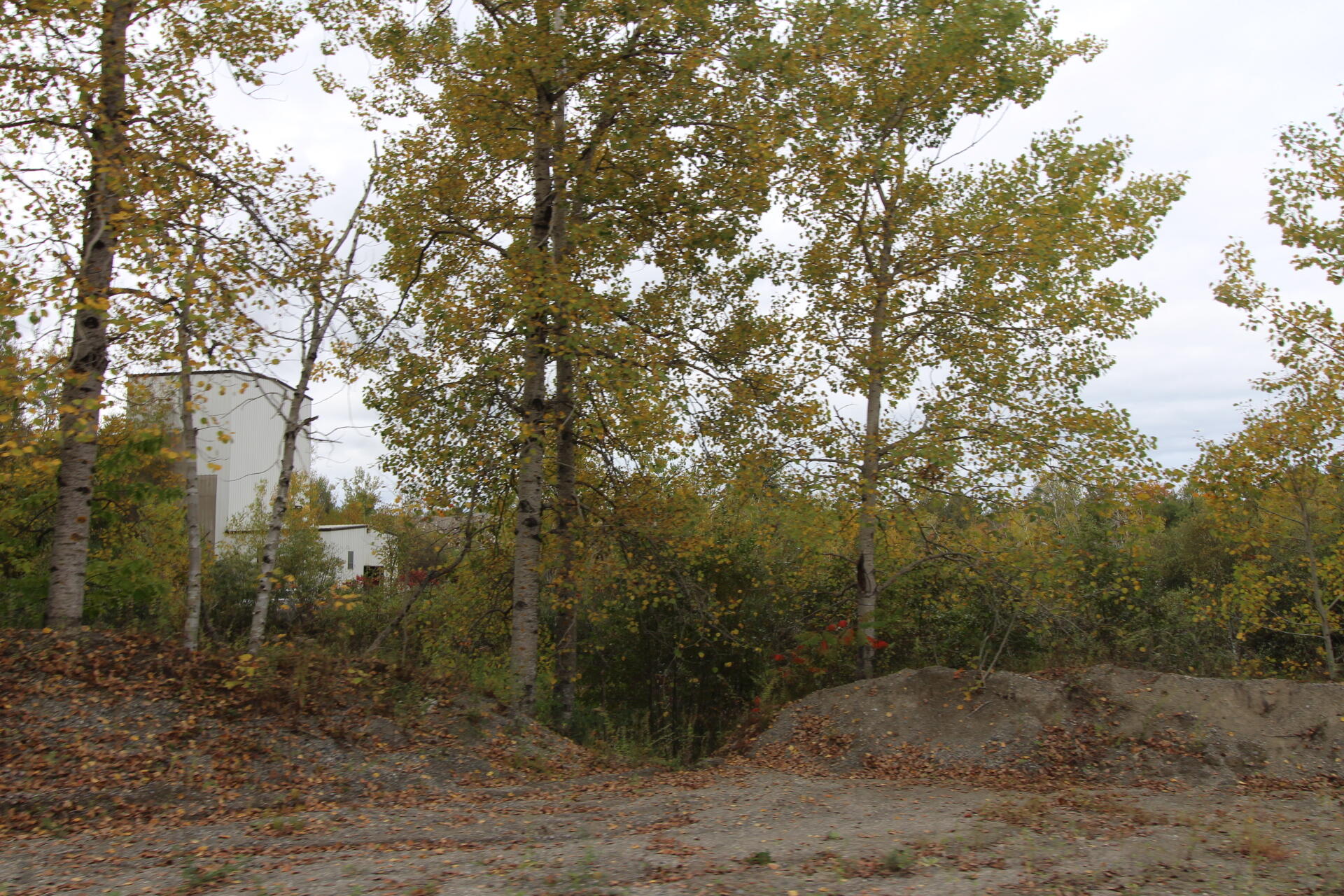 185 Belmont Avenue, Belfast, ME, 04915