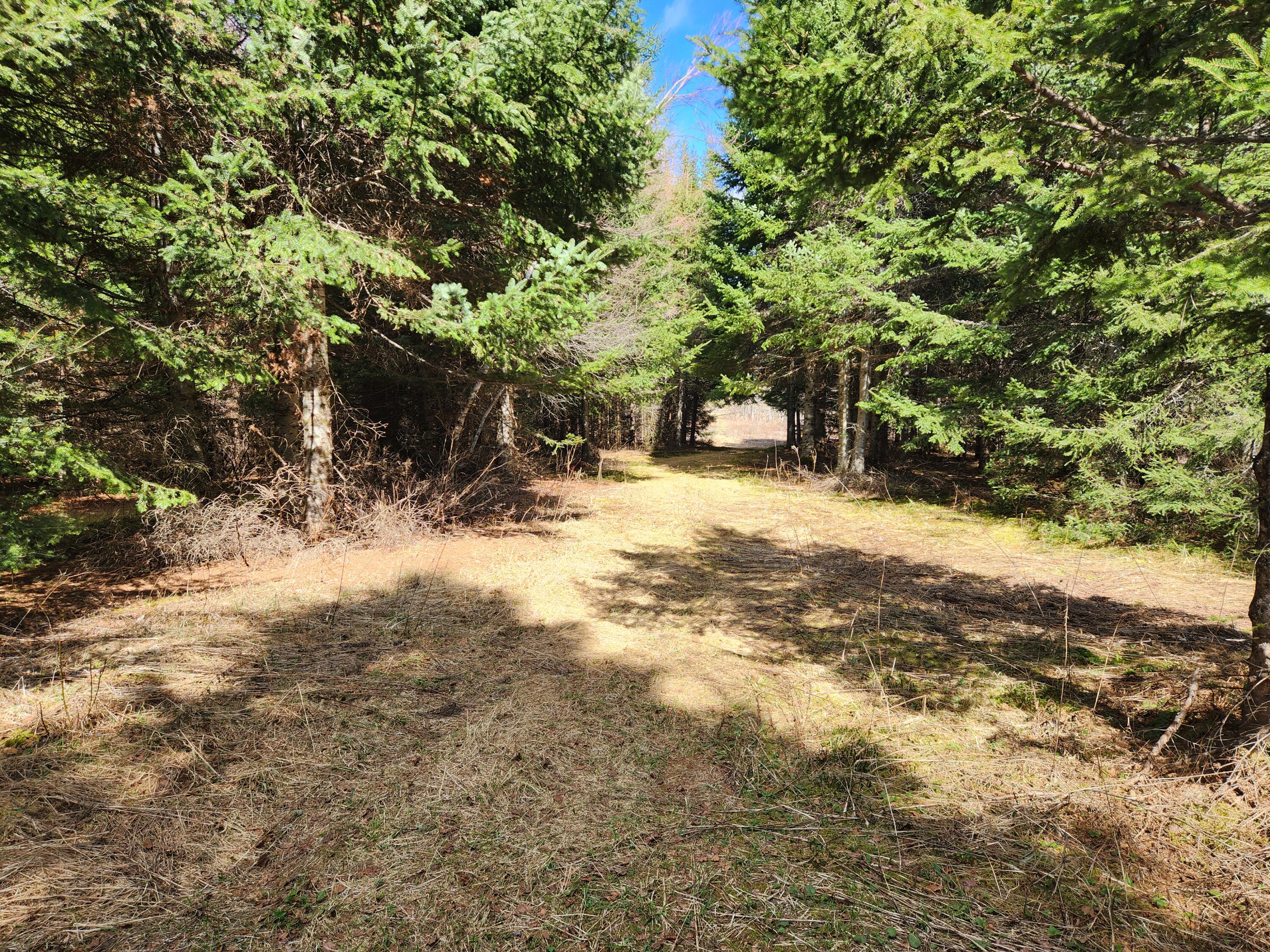 9C West Gate Road, Caswell, ME, 04750