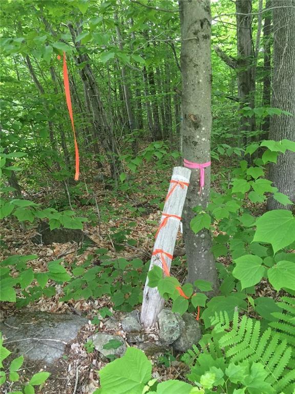 0 Richardson Hollow & Young Hill Road, Greenwood, ME, 04255