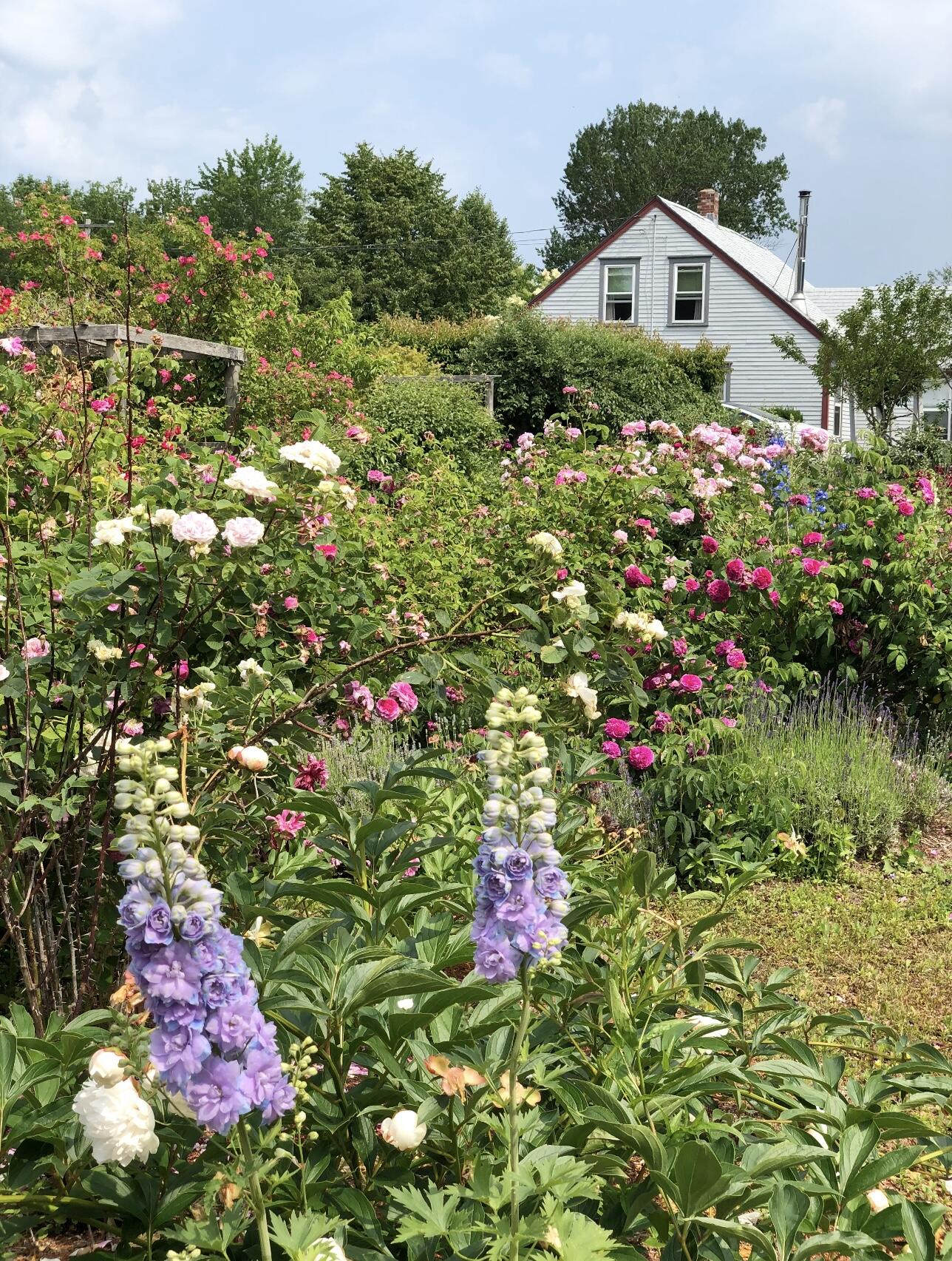 361 Waldoboro Road, Friendship, ME, 04547