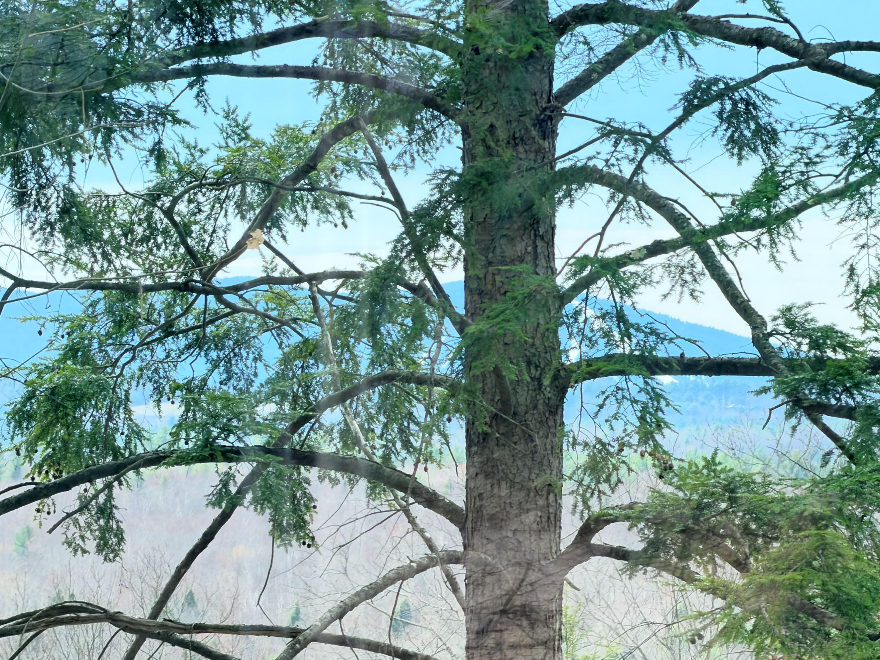 190 Deer Hill Road, Harrison, ME, 04040