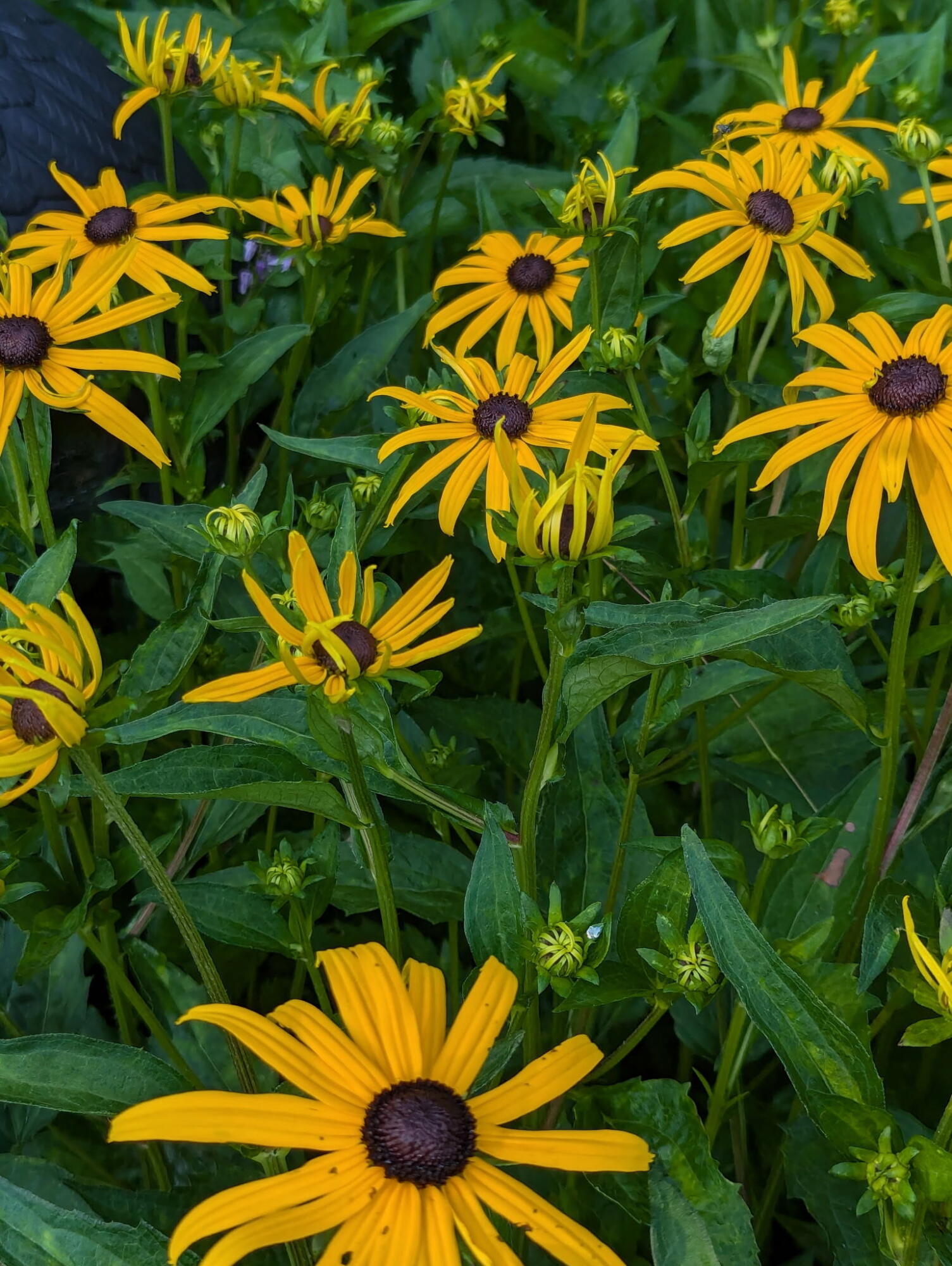 48 Pennell Avenue, Portland, ME, 04103