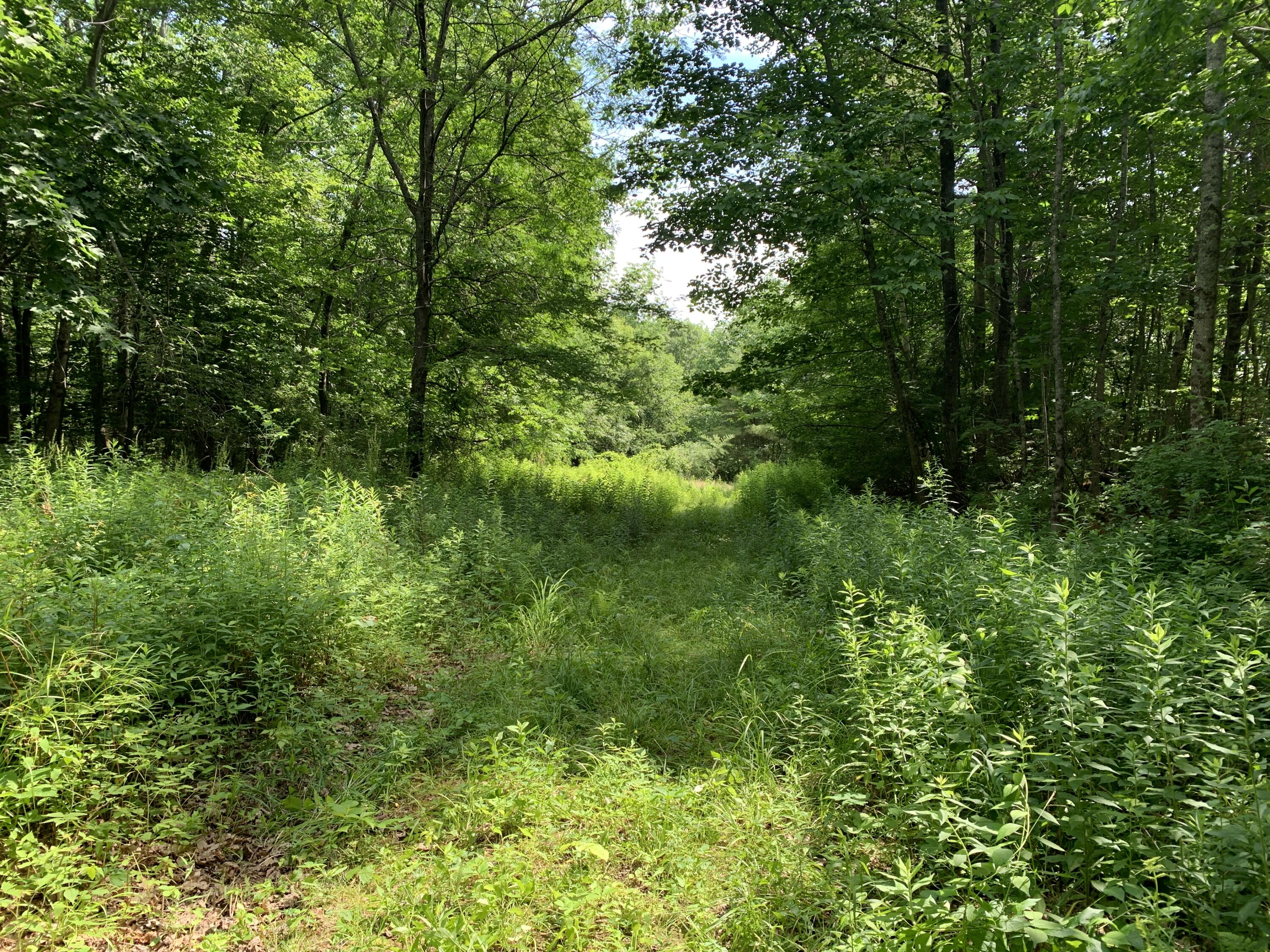 Lot 12 Hallowell Road, Litchfield, ME, 04350