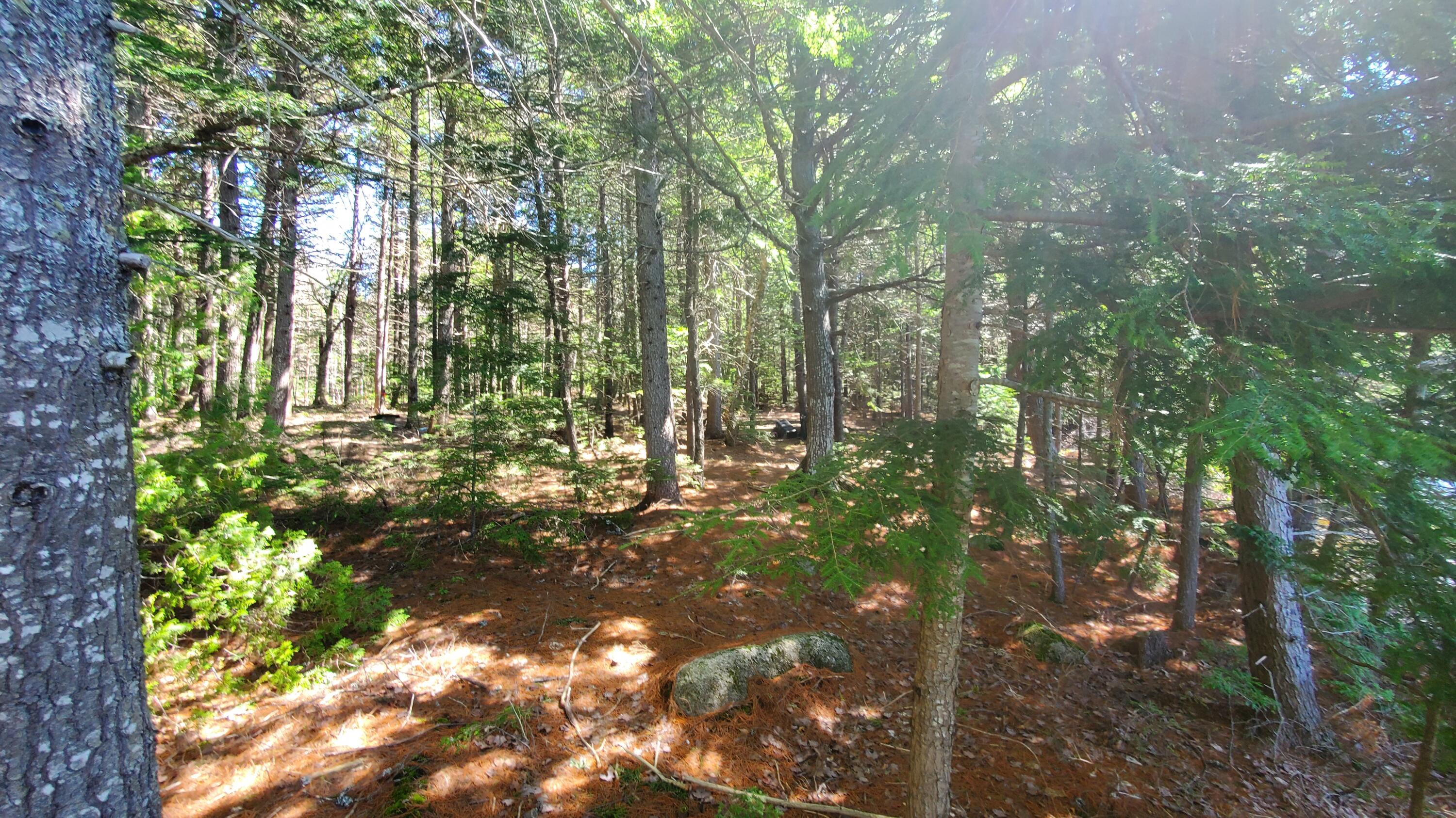 307 Lakeville Shores Road, Lakeville, ME, 04487