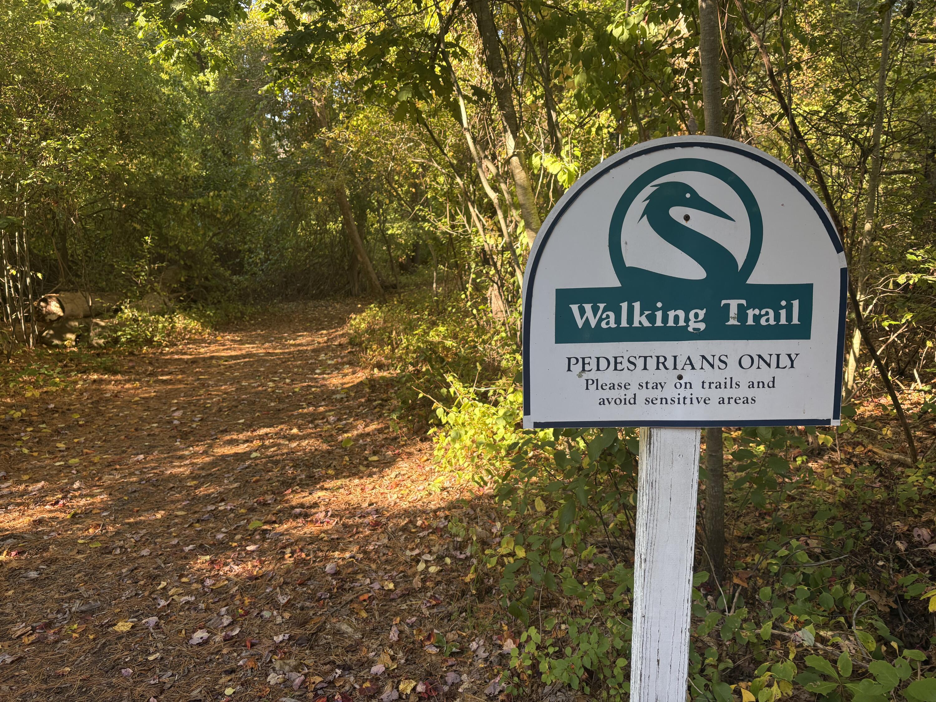 100 Shepards Cove Road UNIT F204, Kittery, ME, 03904