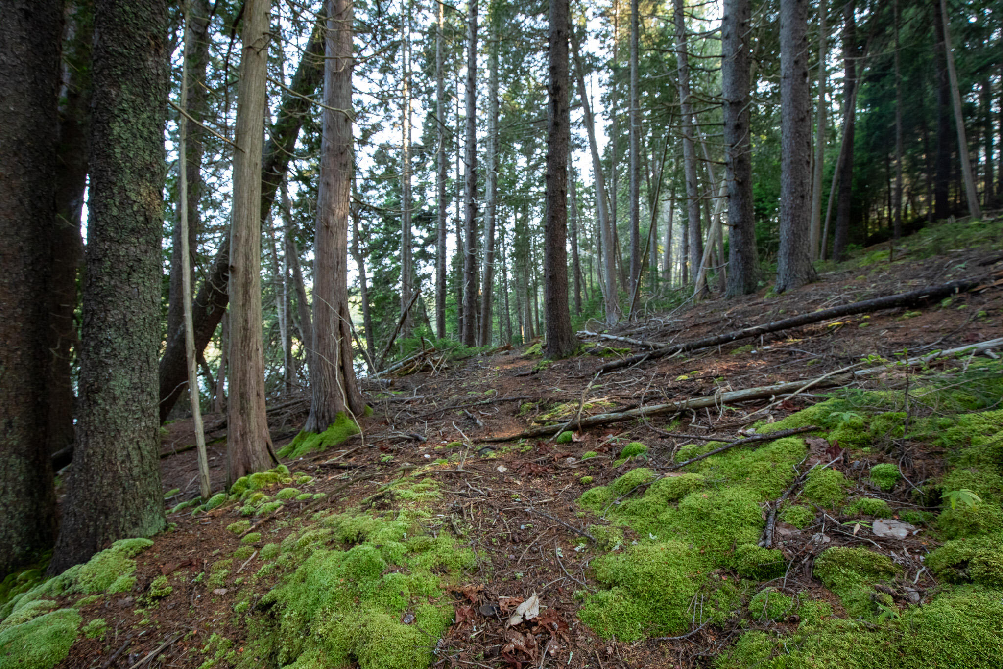 0 Bayview Road UNIT 2, Harpswell, ME, 04066