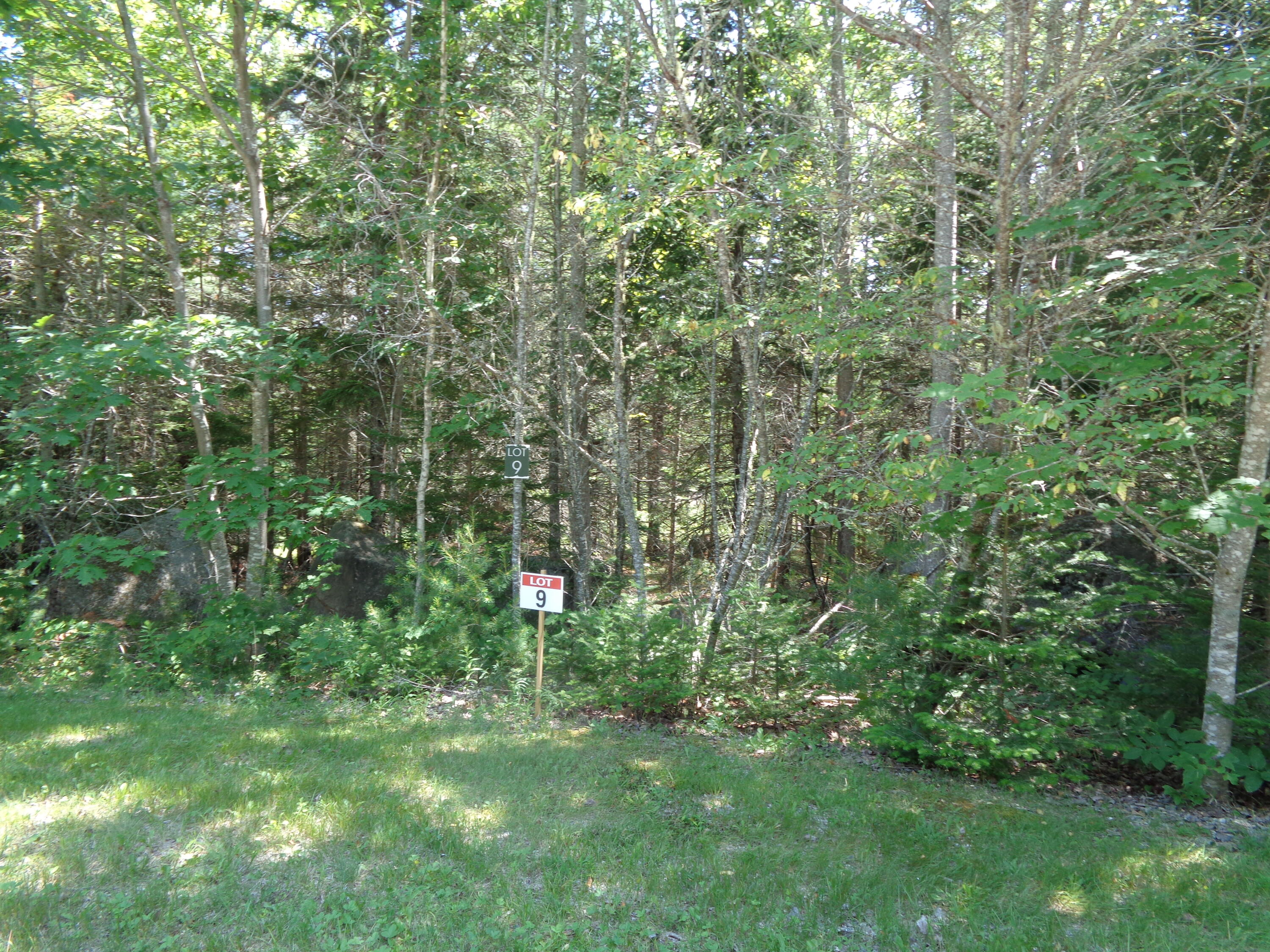 Photo of Lot 9 Bailey Mountain Road Franklin ME 04634