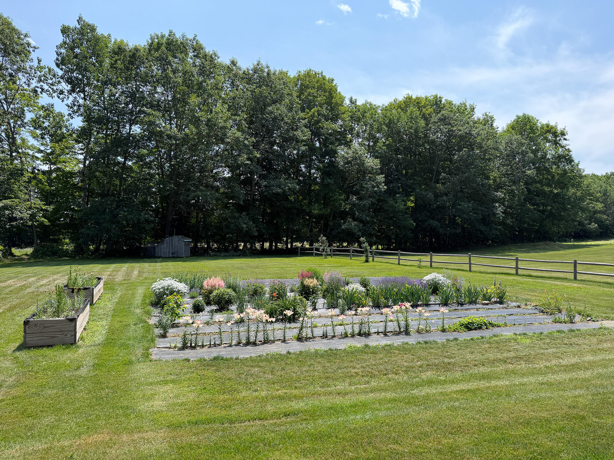IMG_6054