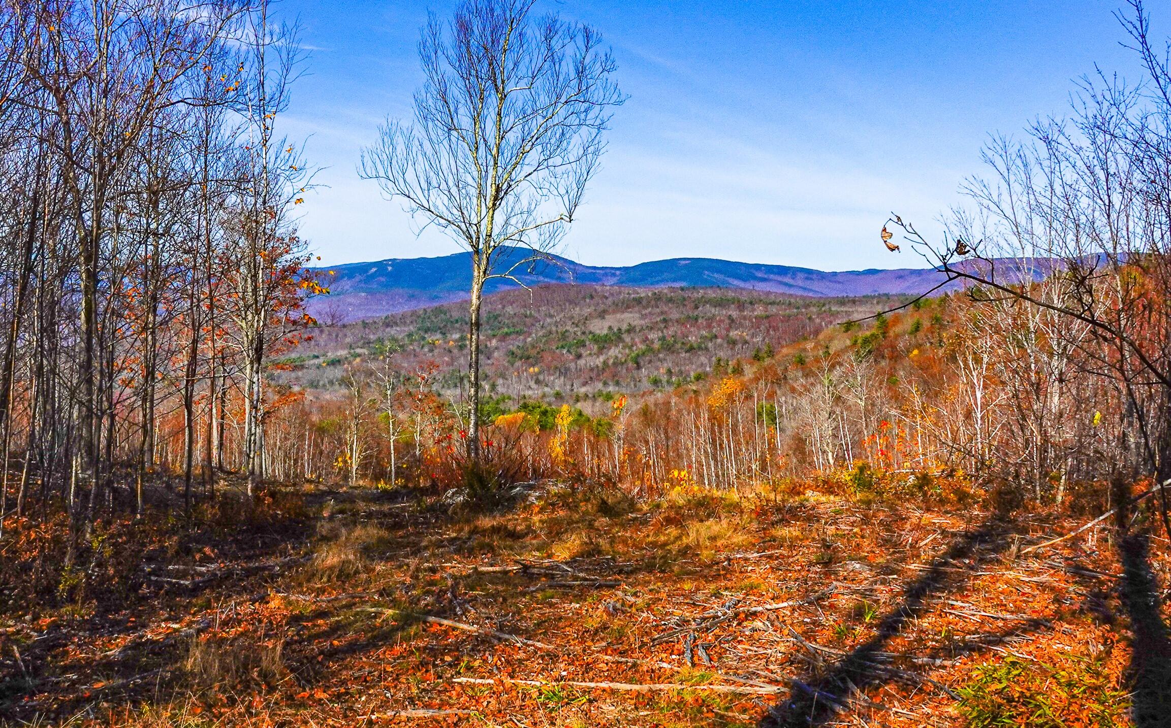 Lot 4 Mine Road, Stoneham, ME, 04231