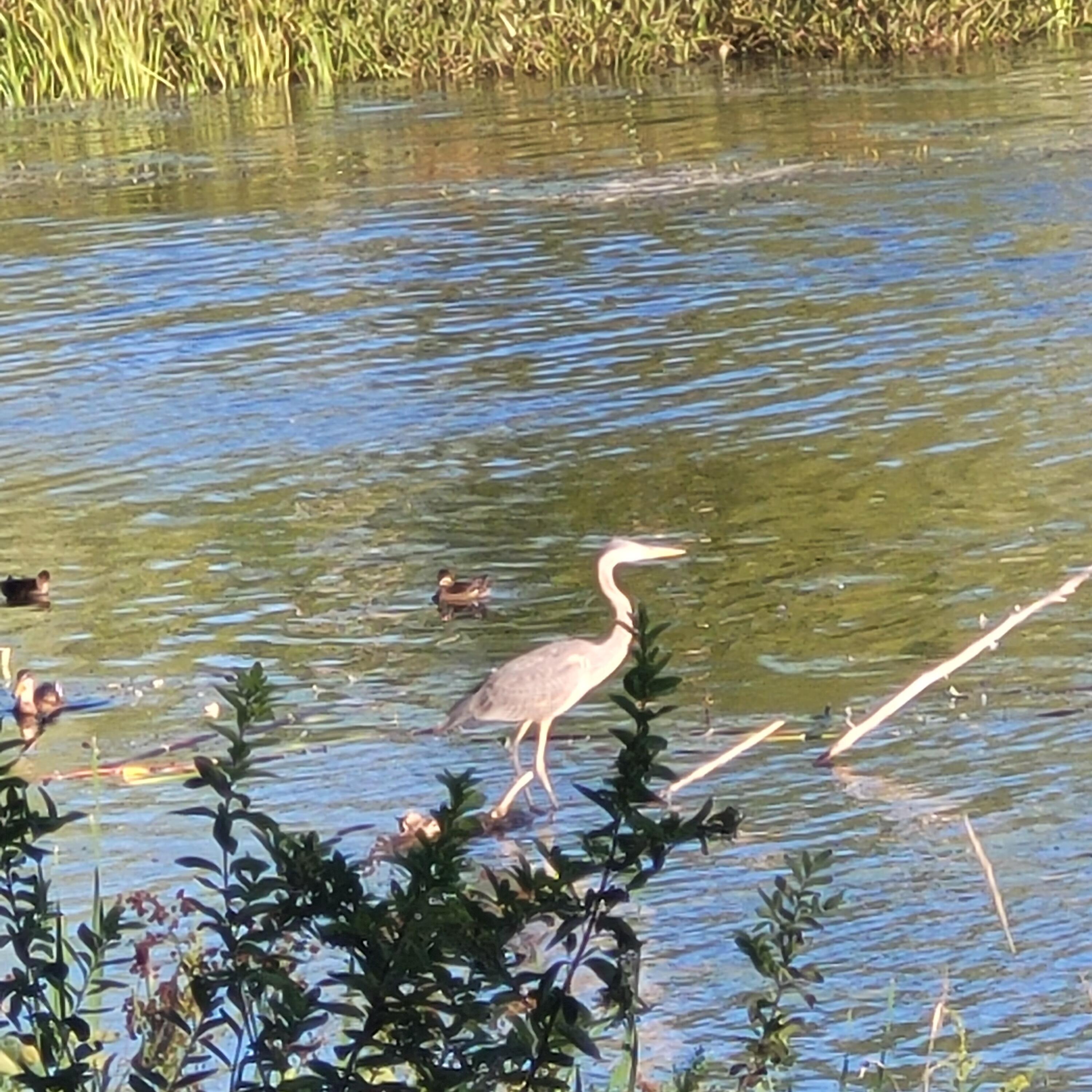 147 N Main Street, Monmouth, ME, 04265