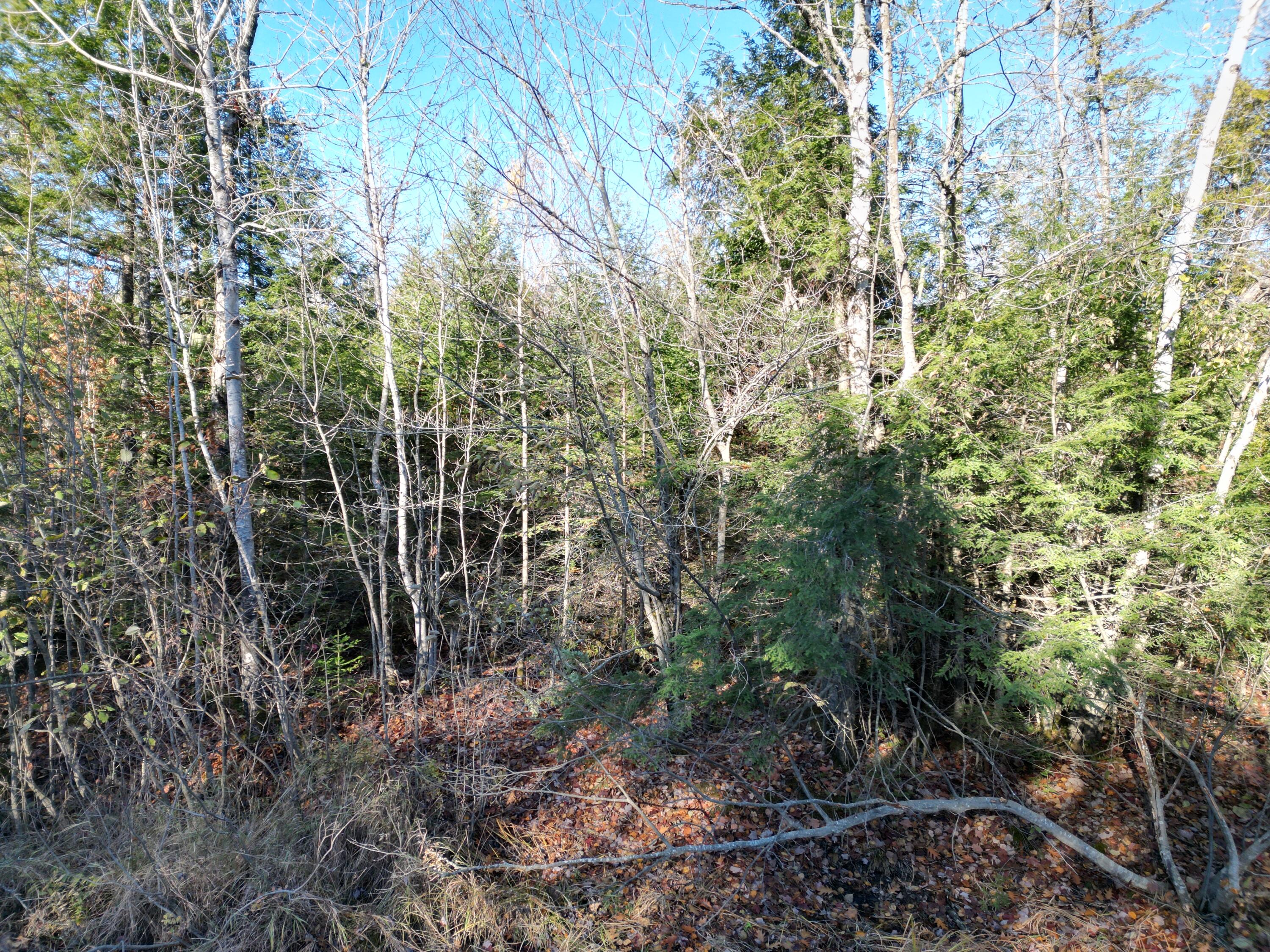 Lot 18-1 Mattamiscontis Road, Howland, ME, 04448